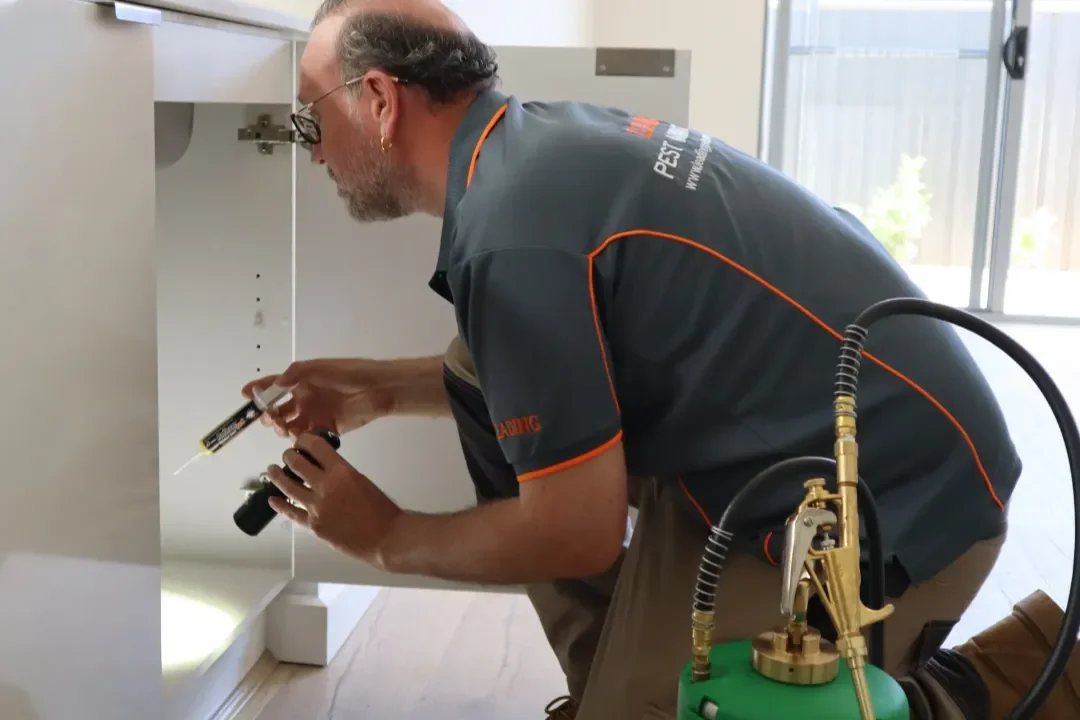 Building and Pest Inspection Bowral