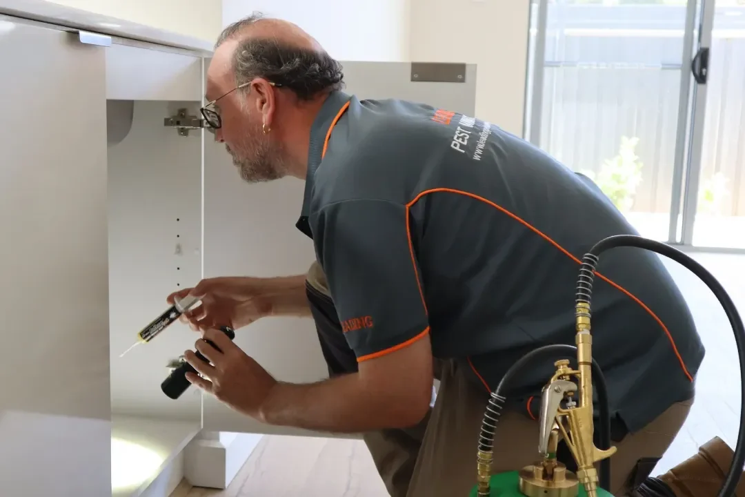 Building and Pest Inspection Campbelltown