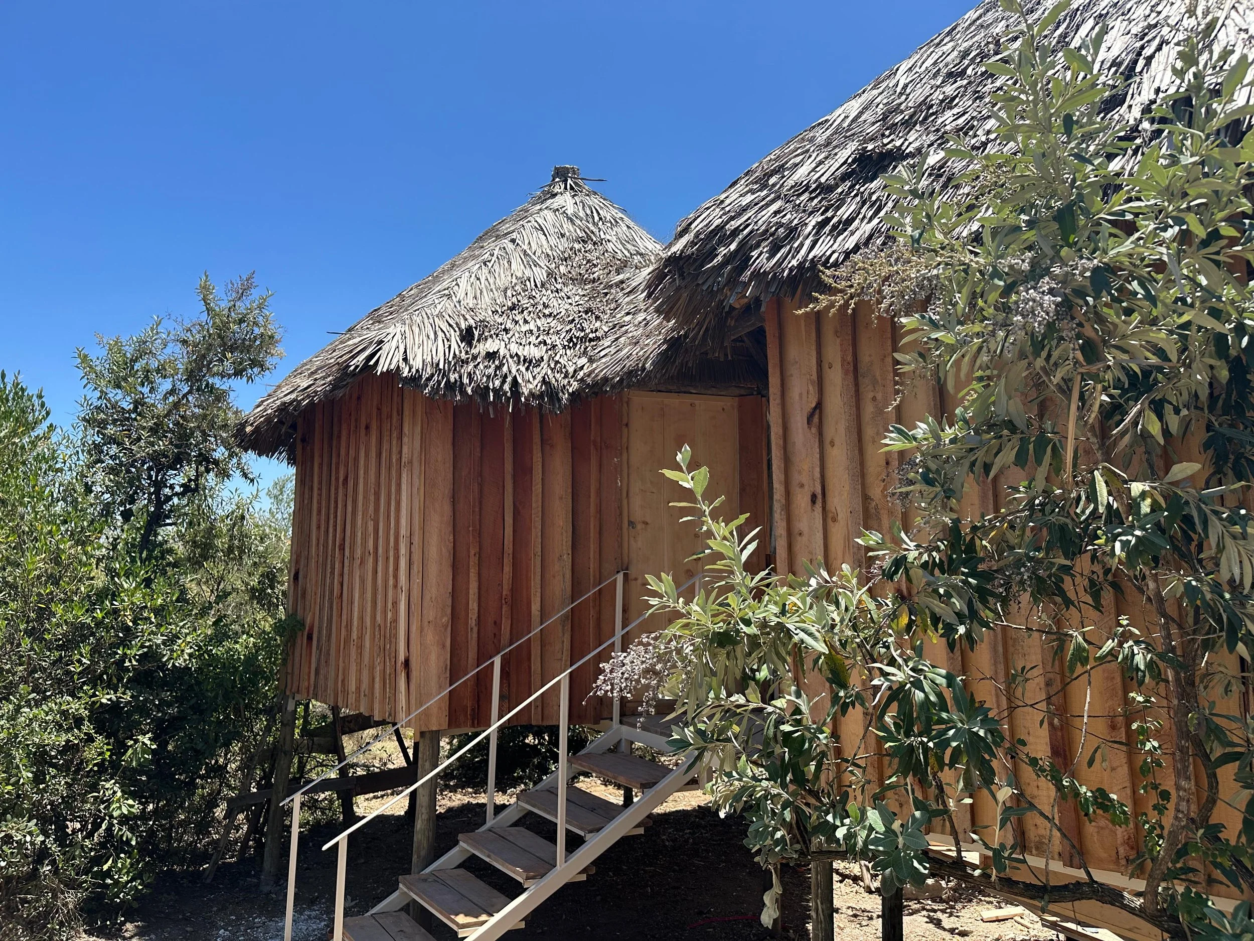 Outside view of bushtops