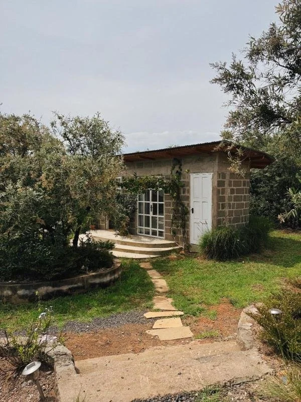 Big Garden Bungalow with two bedrooms and shared bedroom