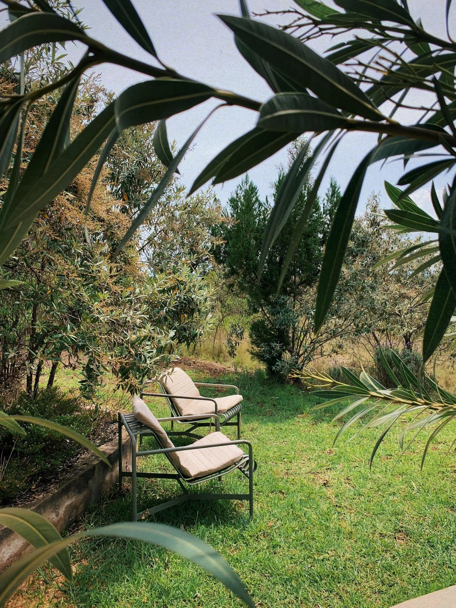 Lounge chairs next to Big Garden Bungalow