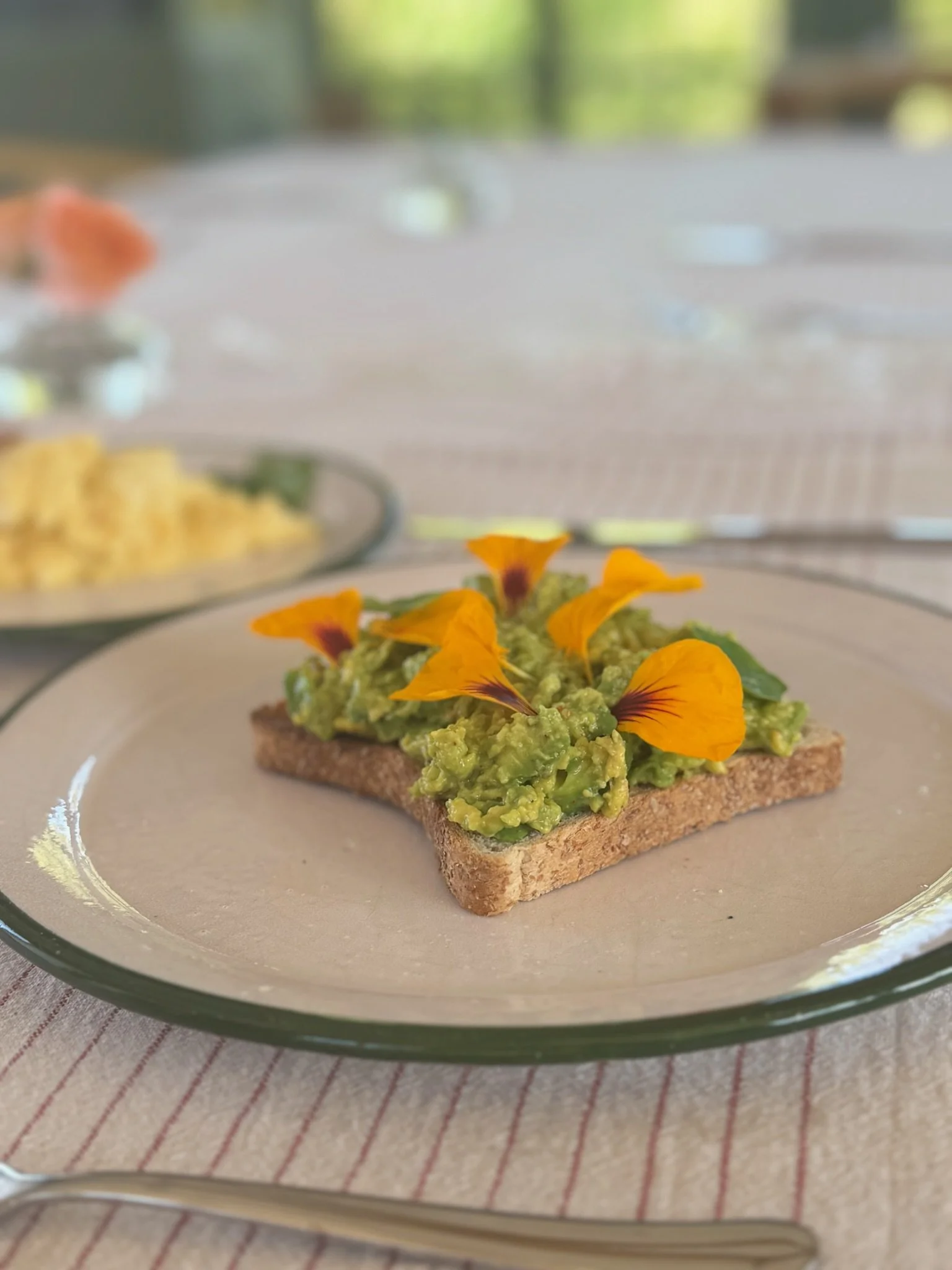 Breakfast garden toast