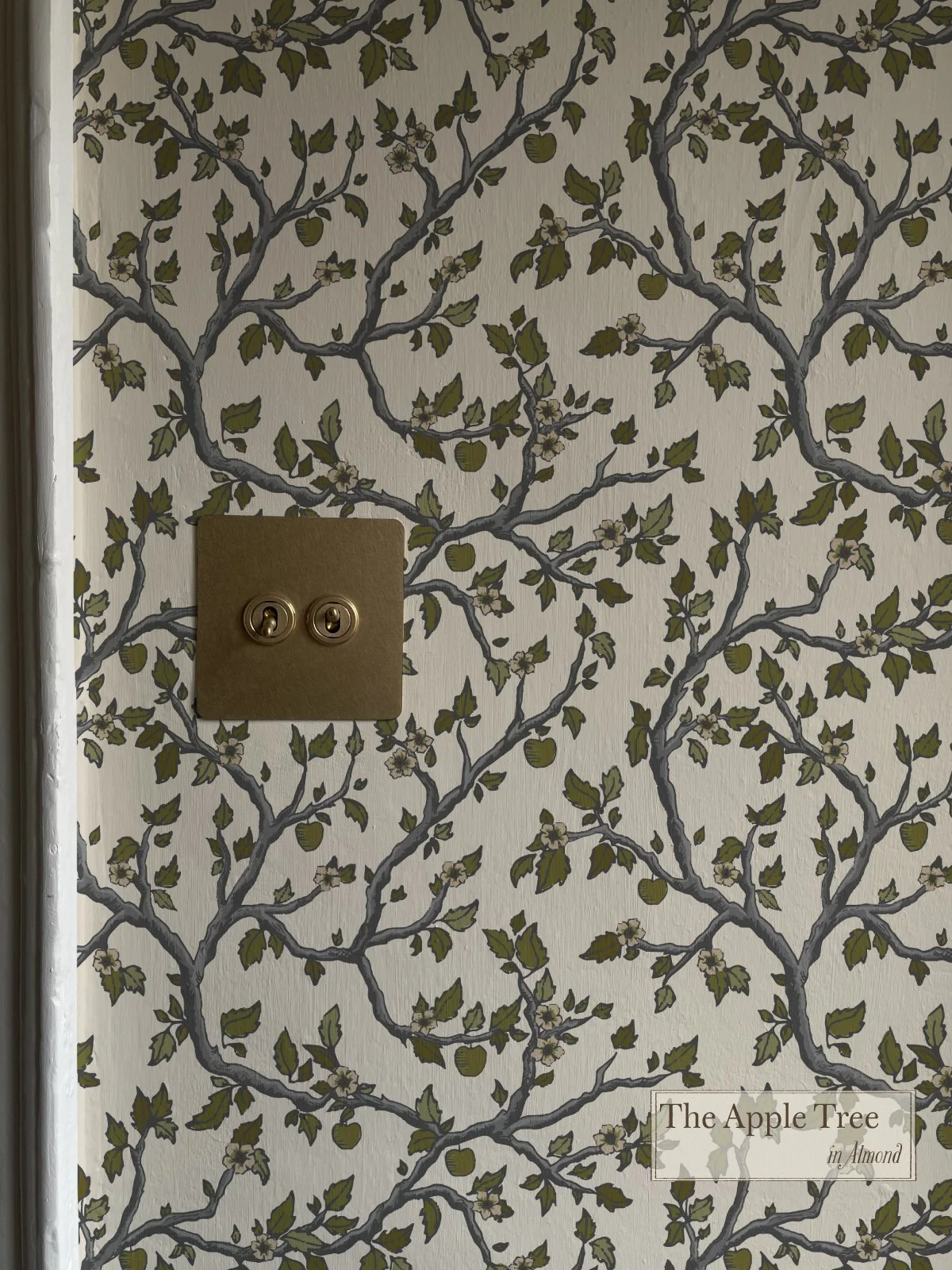 the Apple Tree in Almond_Ink and Wren.jpg