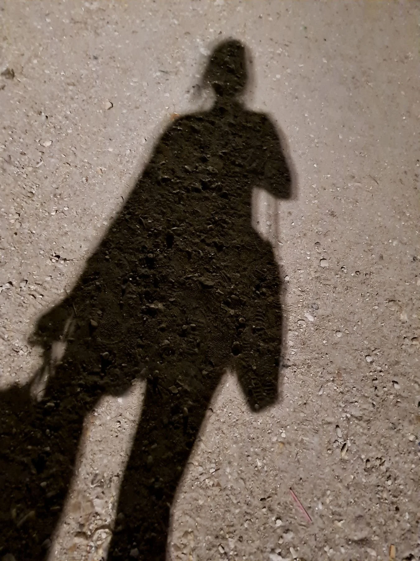 Wenn belastende Erfahrungen und Trauma uns wie ein Schatten verfolgen.