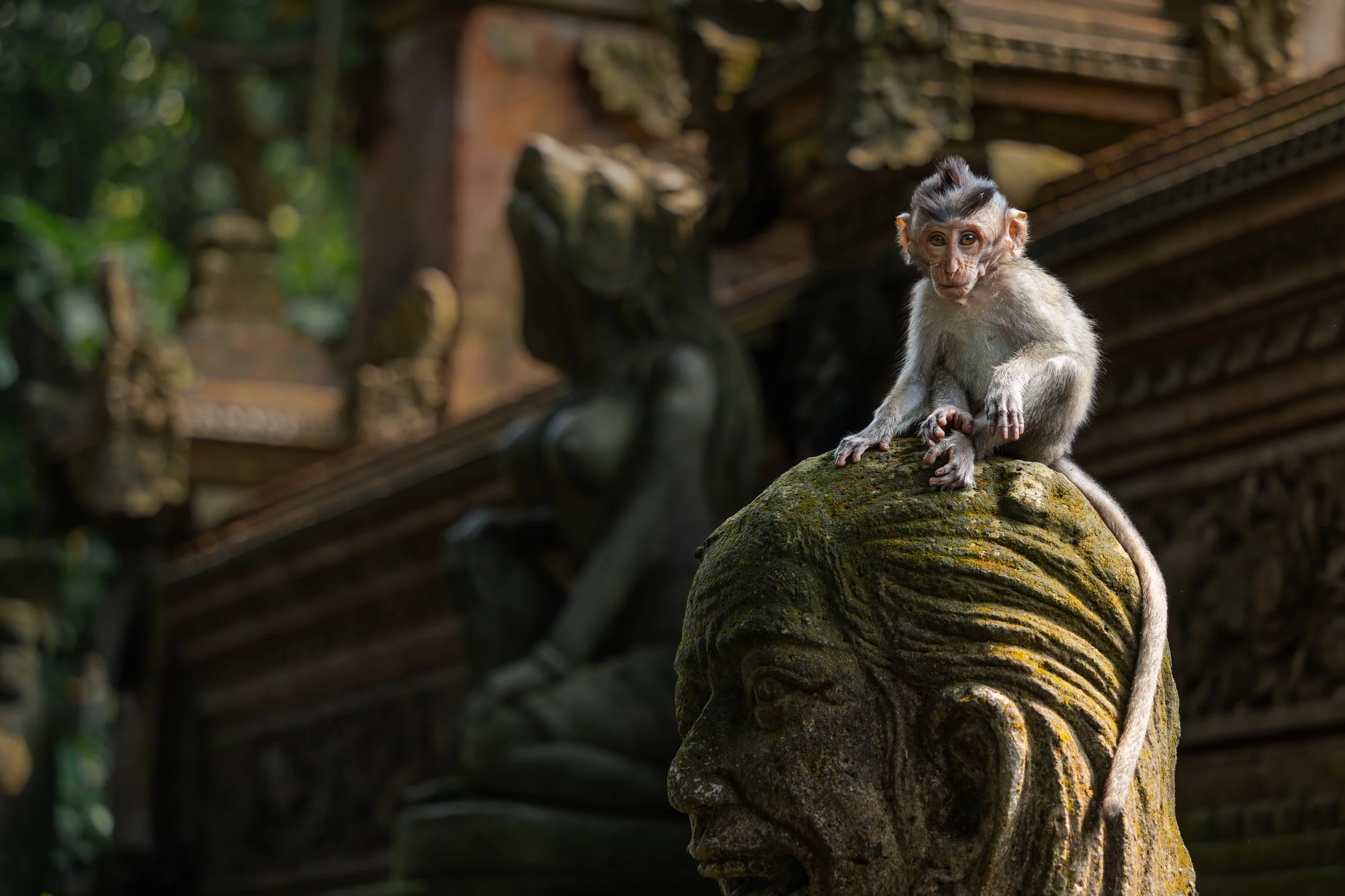 Asia