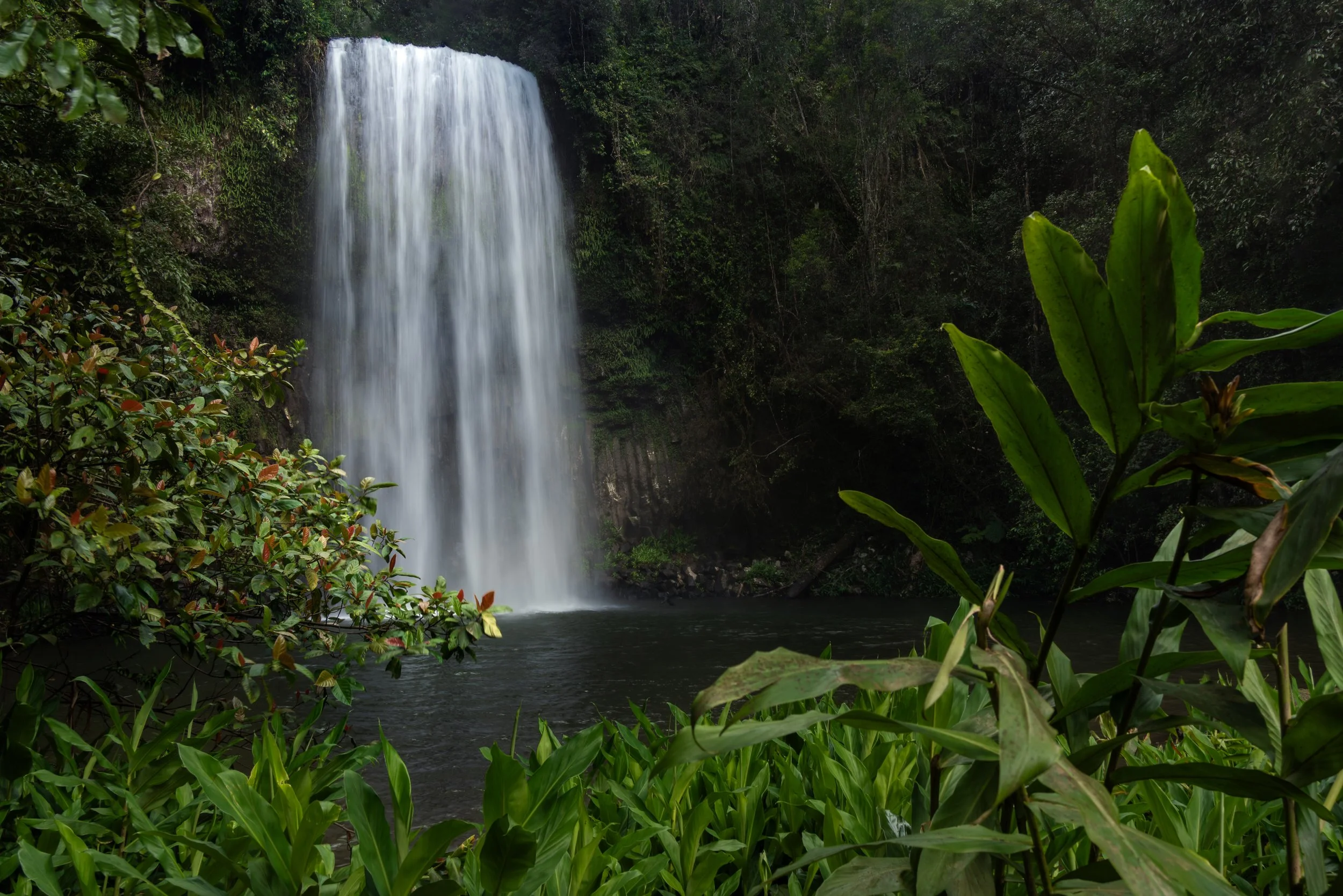 Millaa Millaa Falls, Atherton Tablelands, Australia