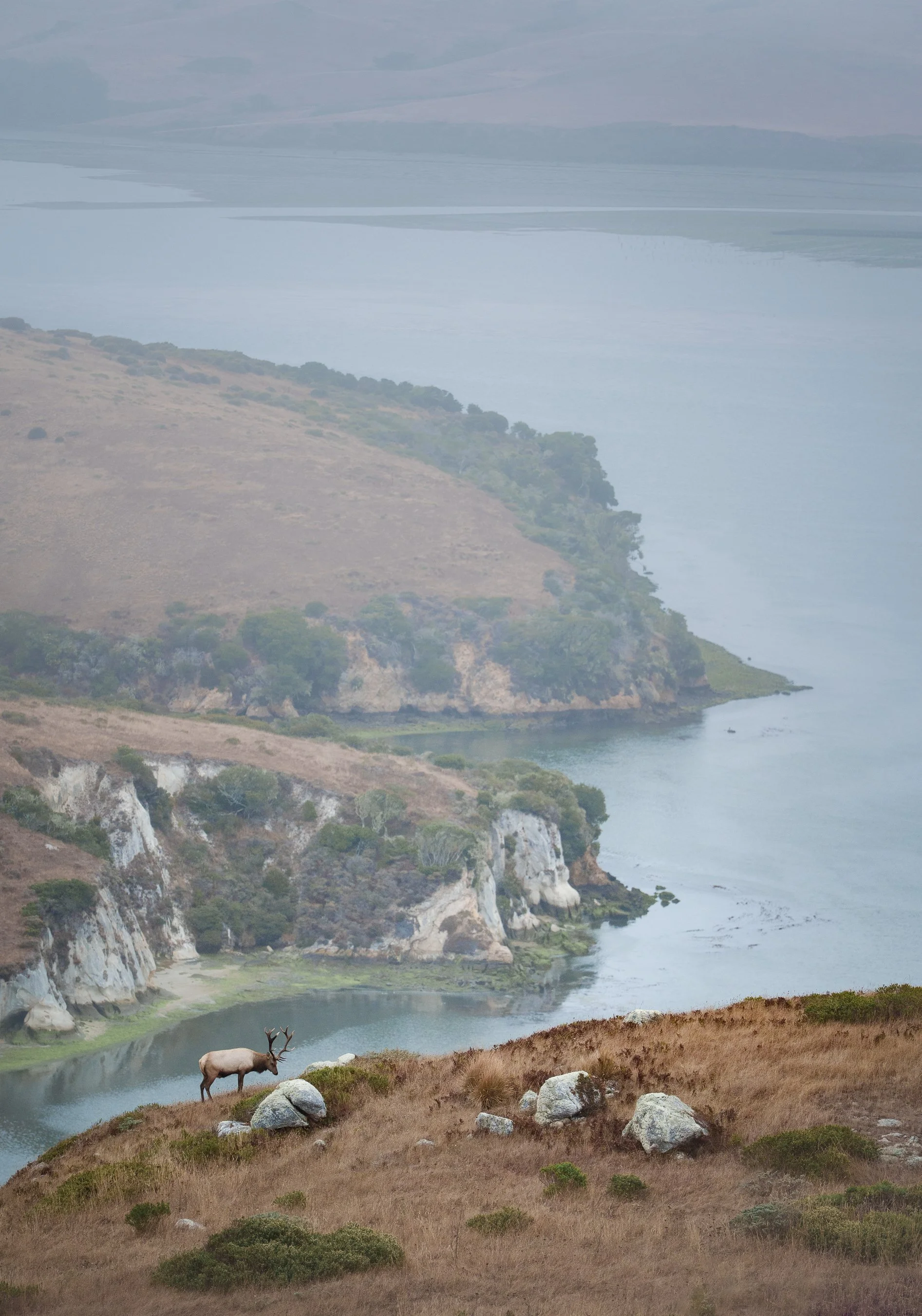 DSC09466-4.jpg