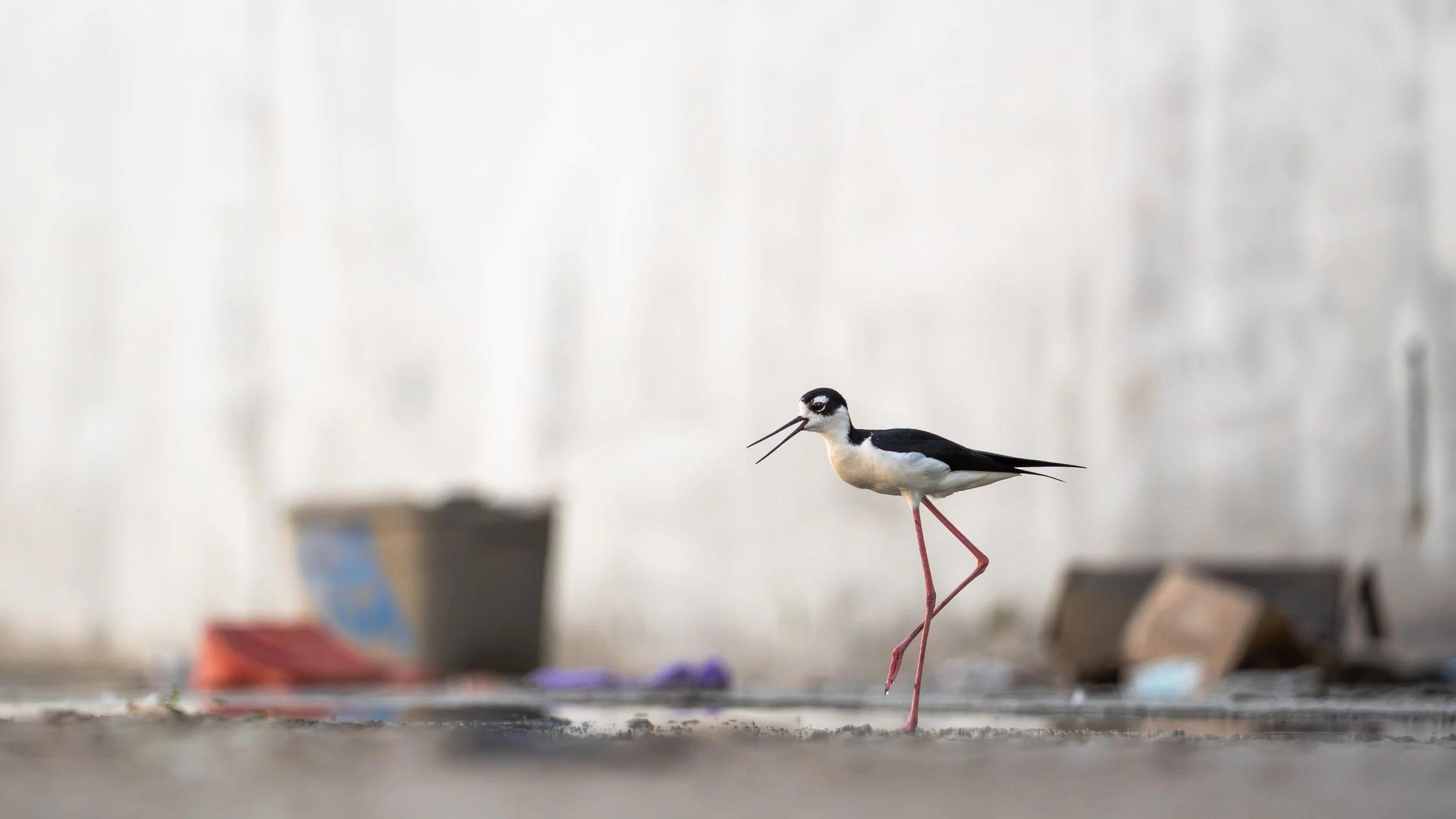 The Los Angeles River