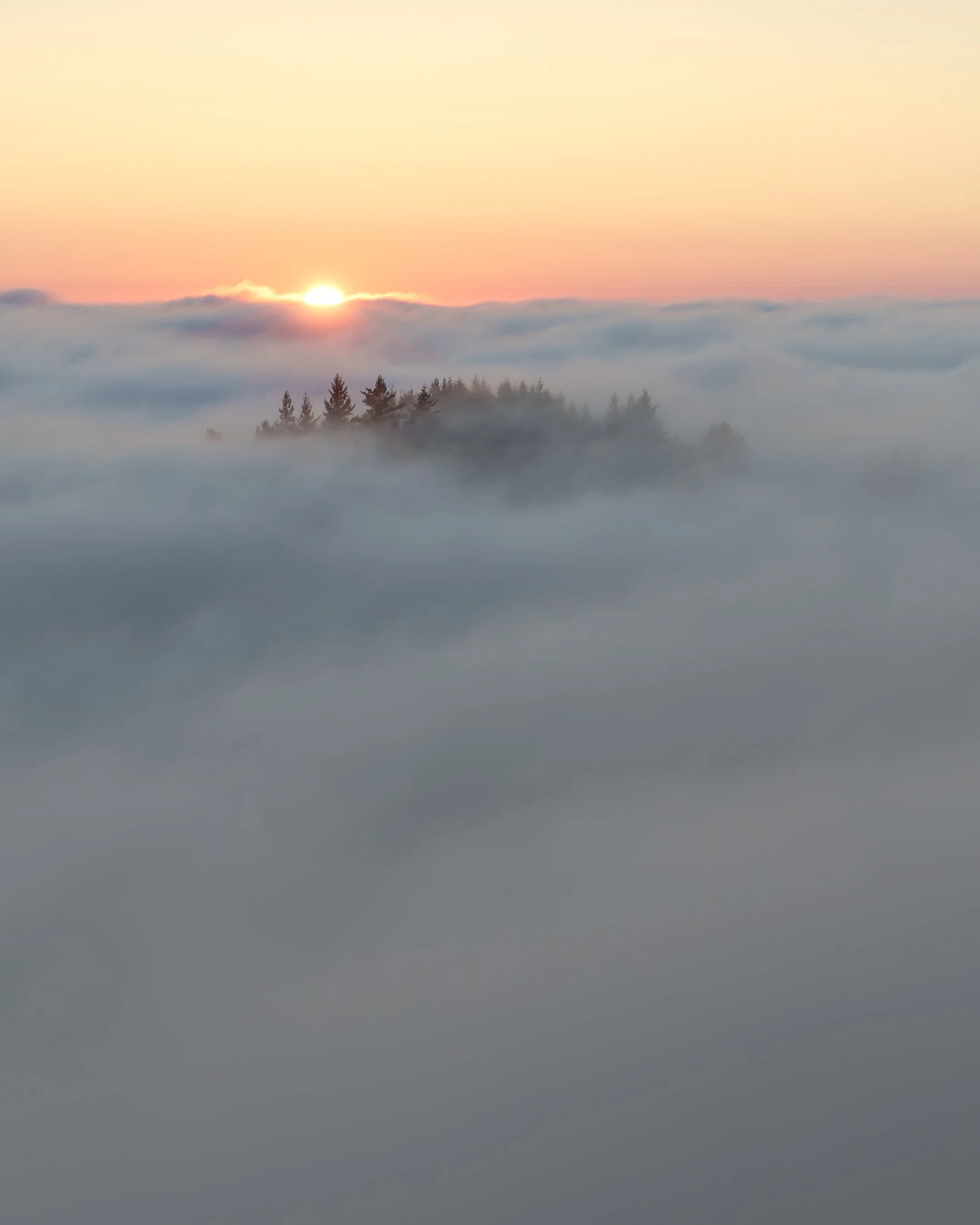 DSC09077.jpg