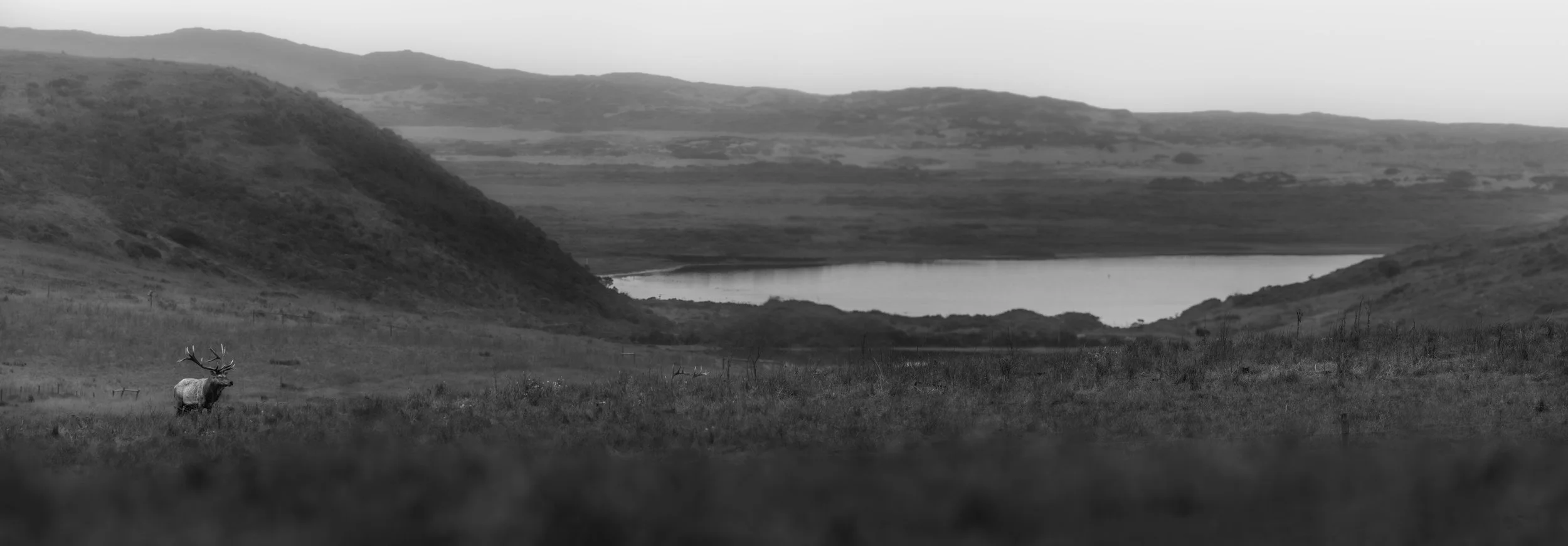 DSC04980-Pano.jpg