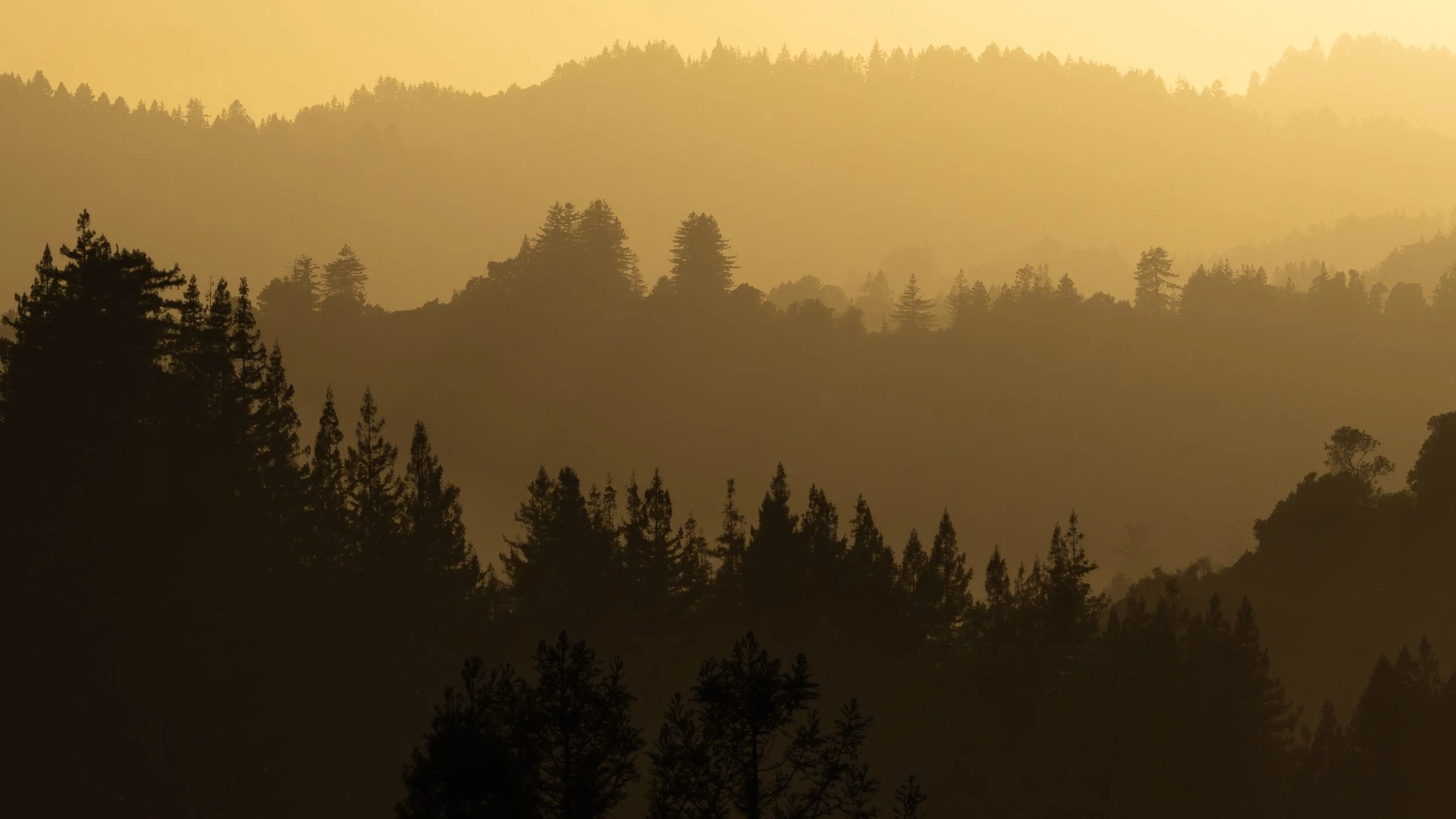 Hecker Pass, Watsonville, California