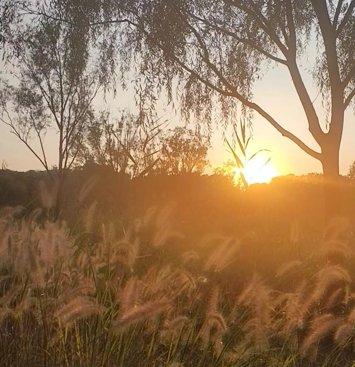 The Art of Saving the Planet