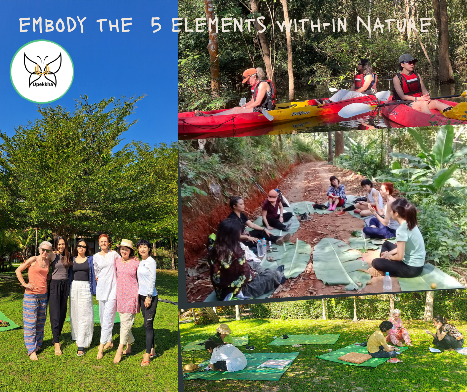 Nothing Changed—Until They Felt Safe: Testimonials from our &nbsp;Mindfulness with -in Nature Retreat (Thailand ,jan 2026yr)