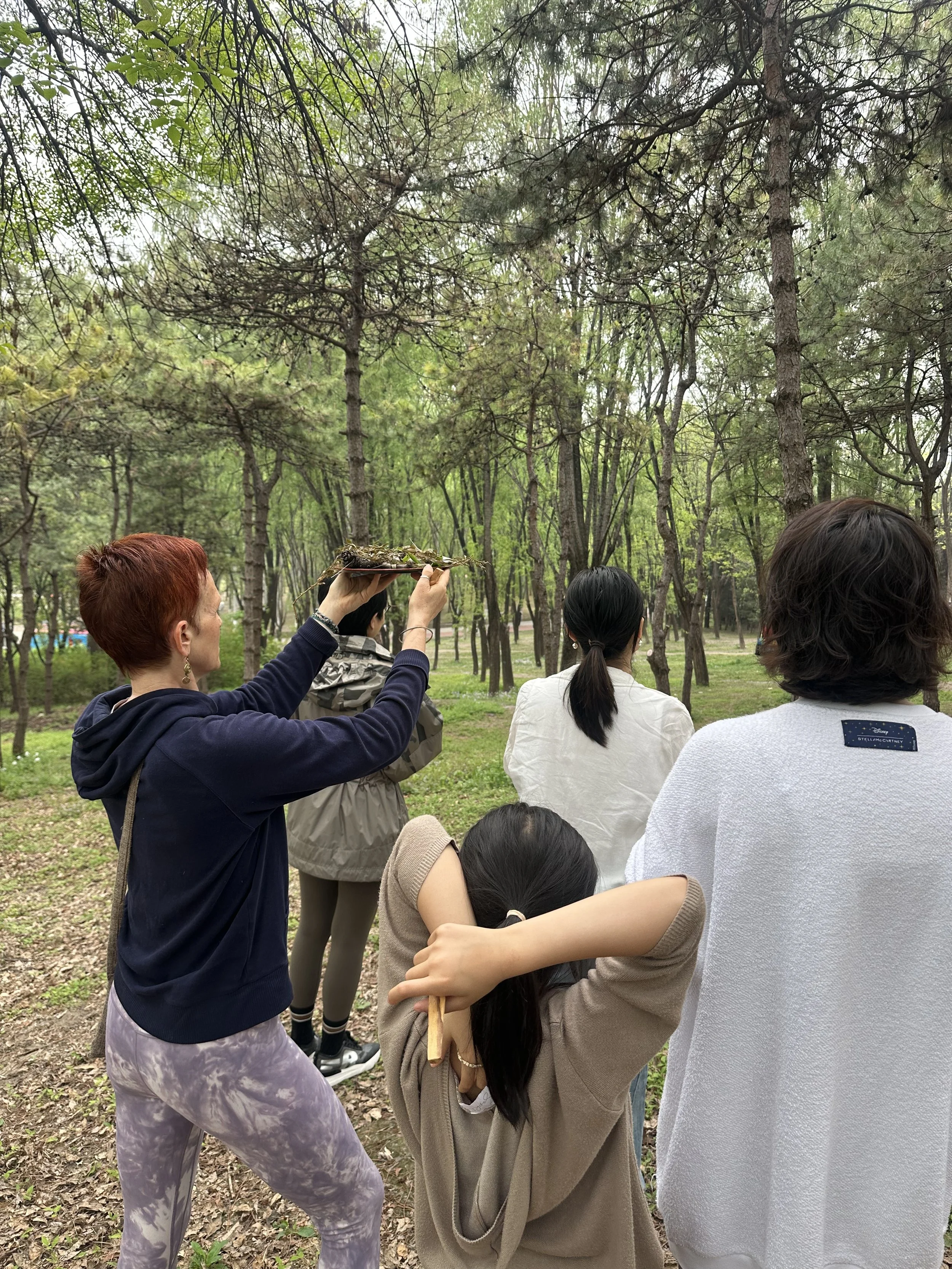 Weixin Image_20260421110720_38_79.jpg