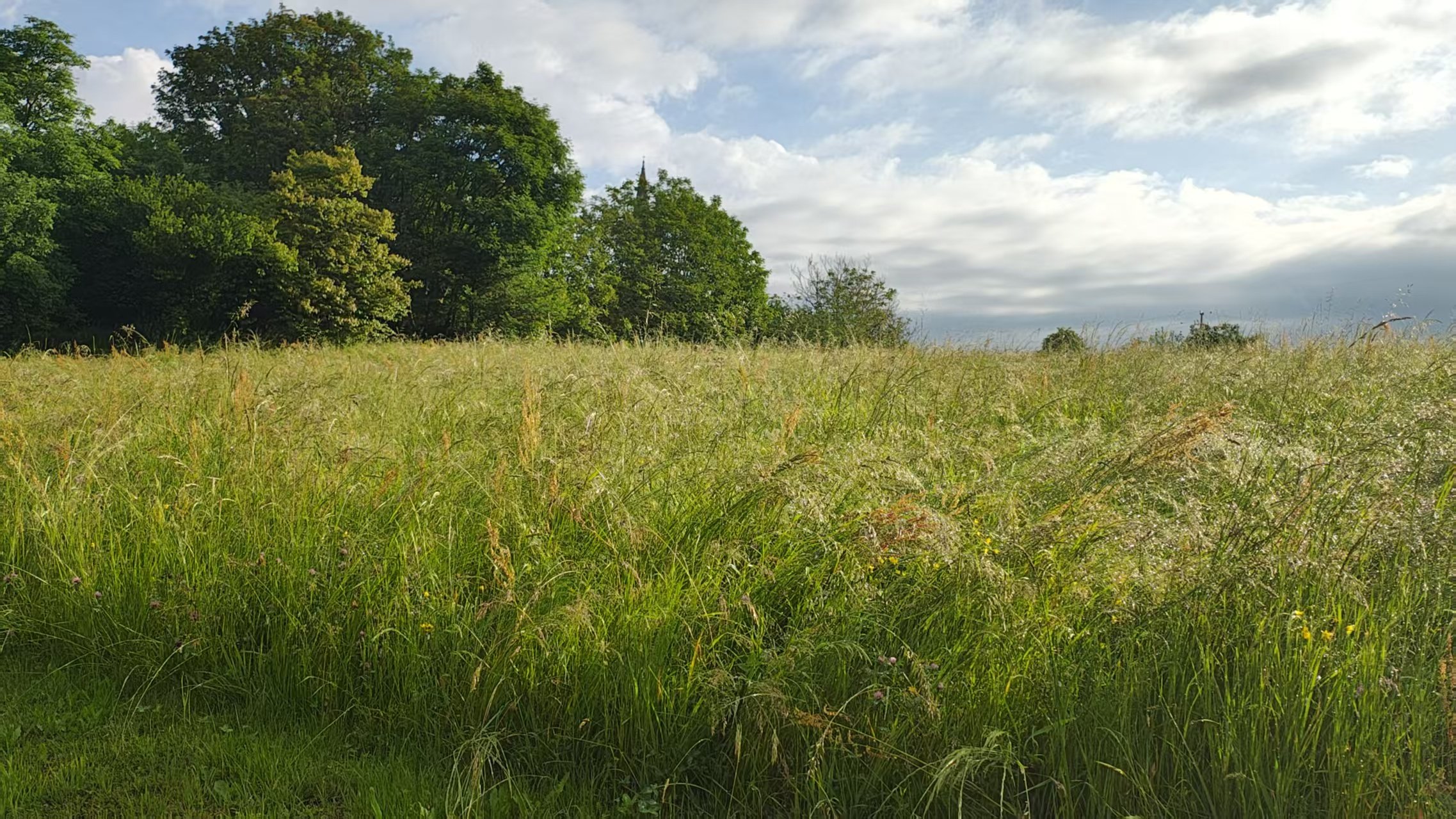 June — Holding the Fire With Self-Compassion&nbsp;