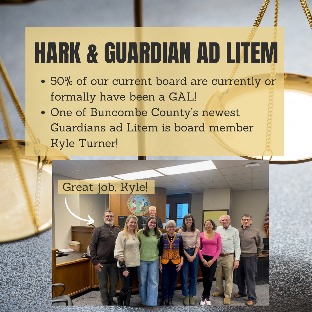 What is a Guardian Ad Litem? — HARK Buncombe County