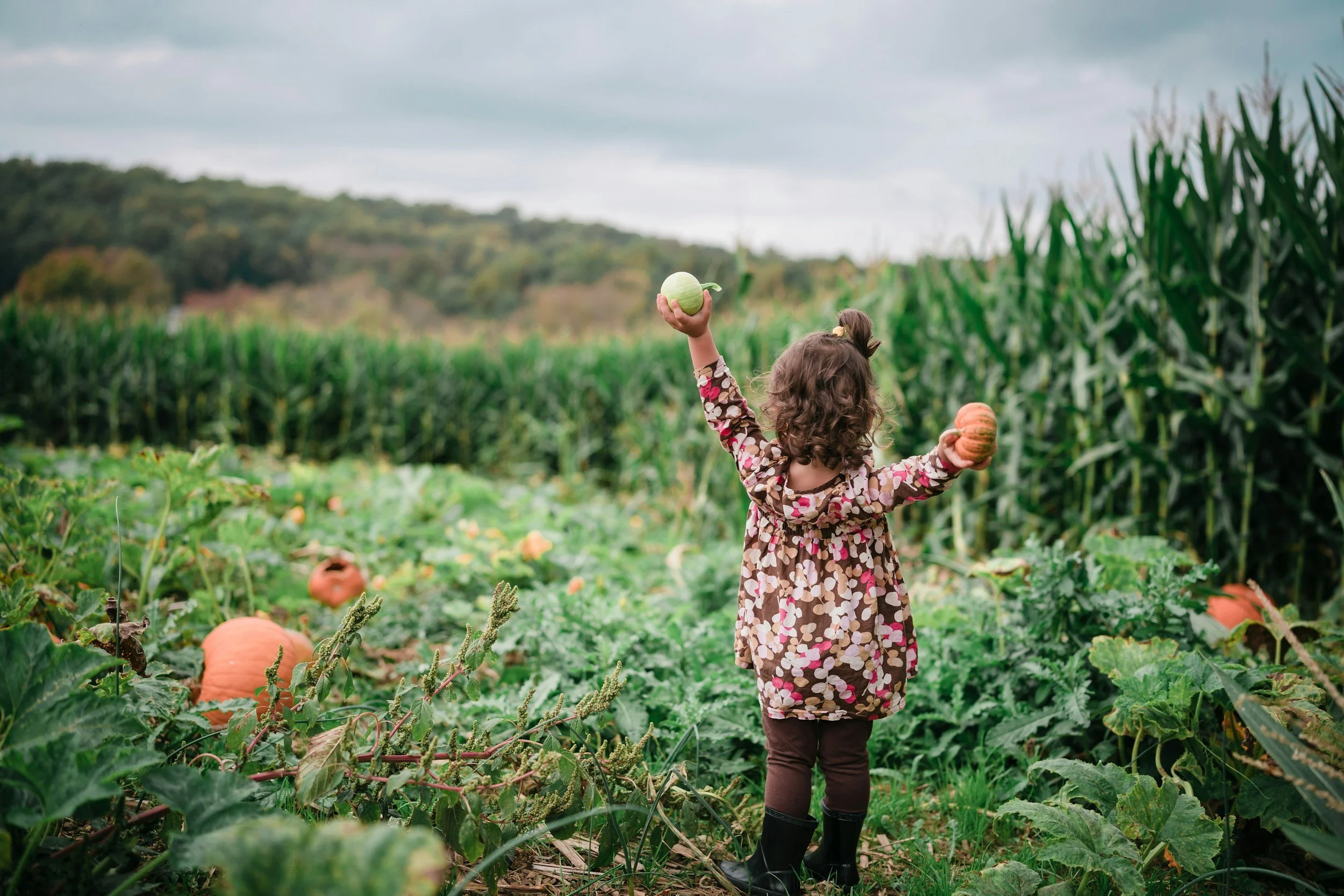 Fall 2025 Newsletter