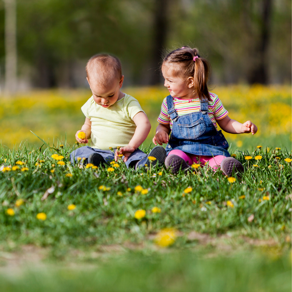 Spring 2026 Newsletter