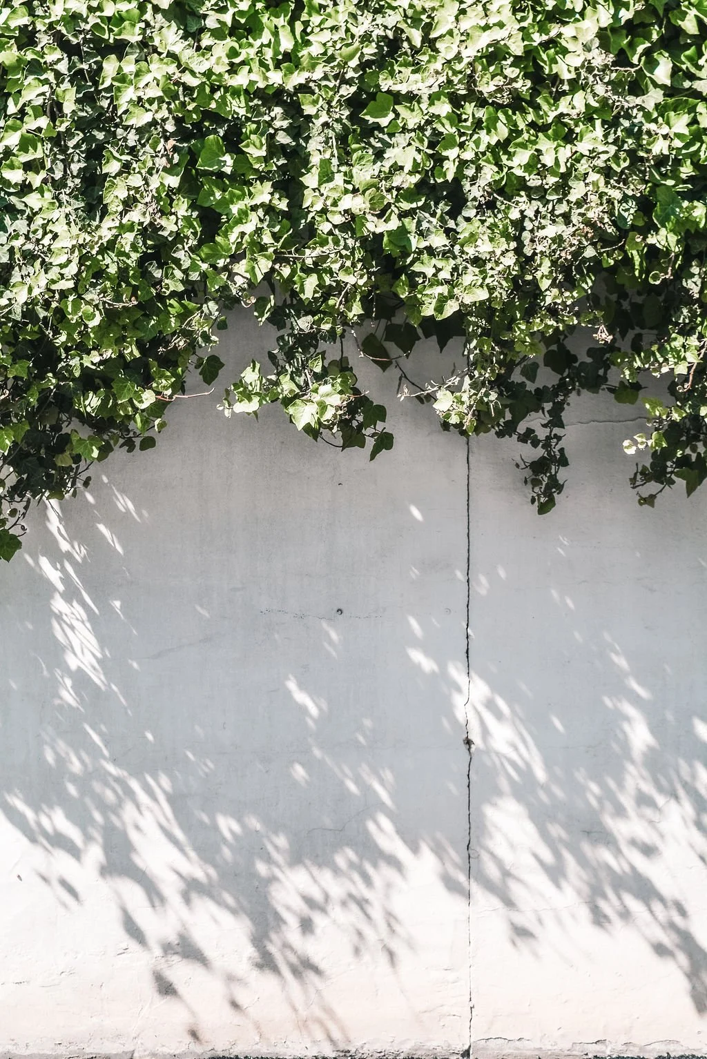 Rebuilding Belonging After a Major Life Transition