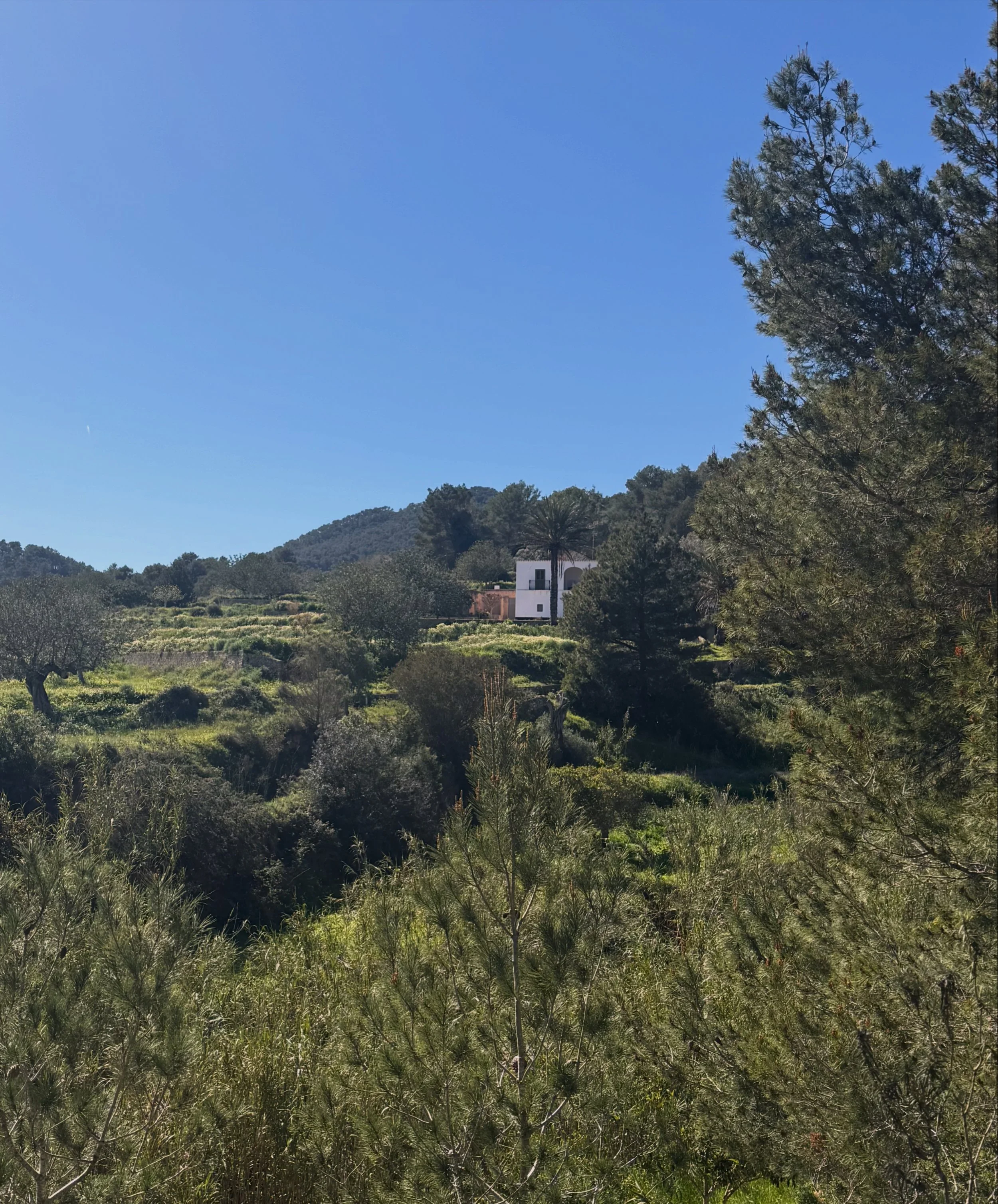 The Part of Expat Life Nobody Posts About — And Why Online Therapy in Ibiza Might Be What You Need