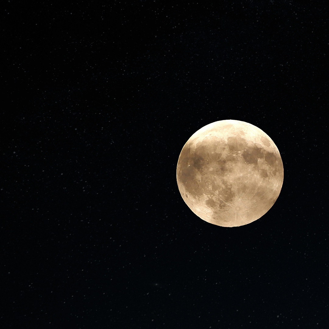 Moonlight Magic in 2025 in Warsaw