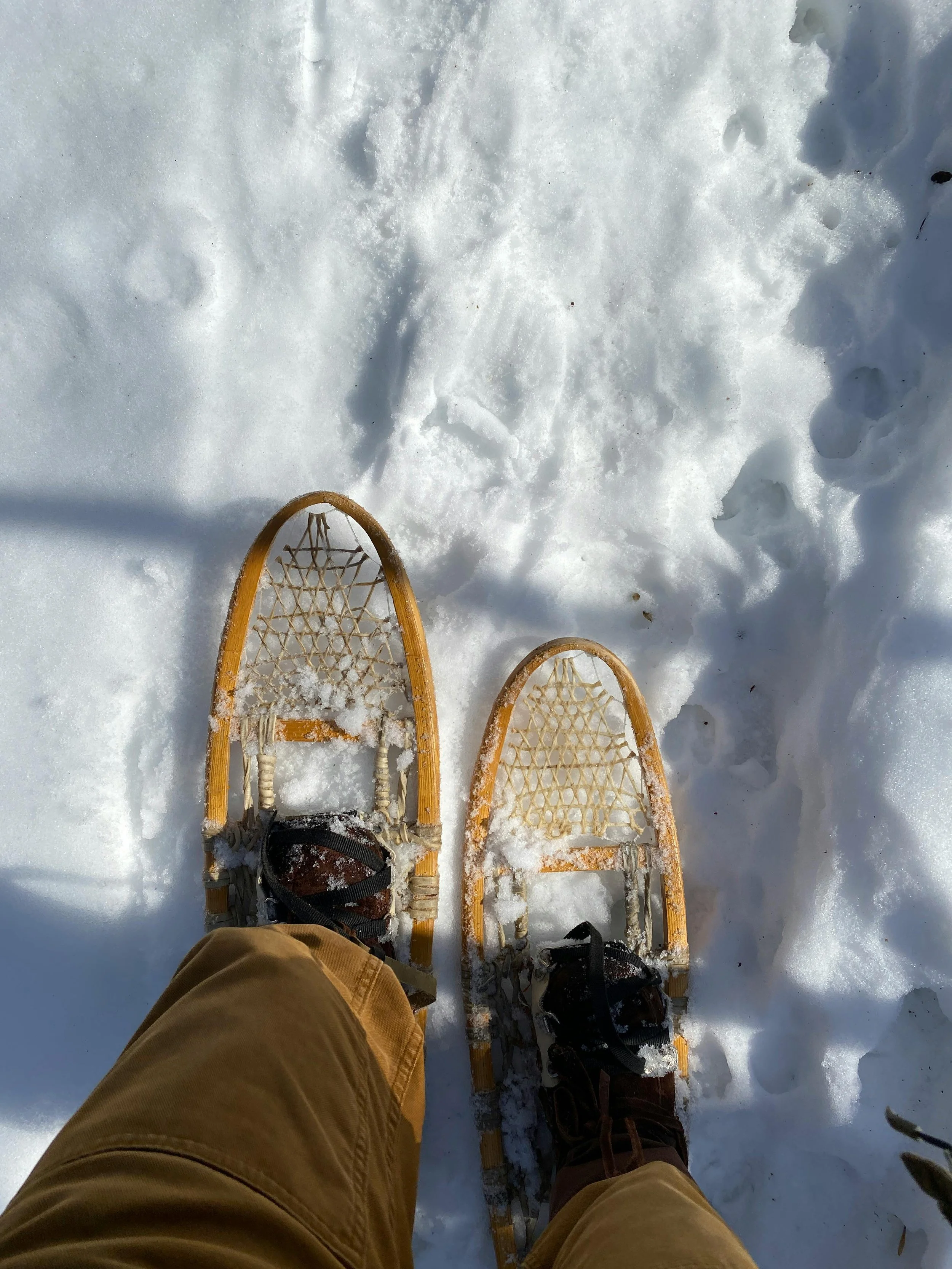 Valentines Day Snowshoe Adventure at Letchworth State Park