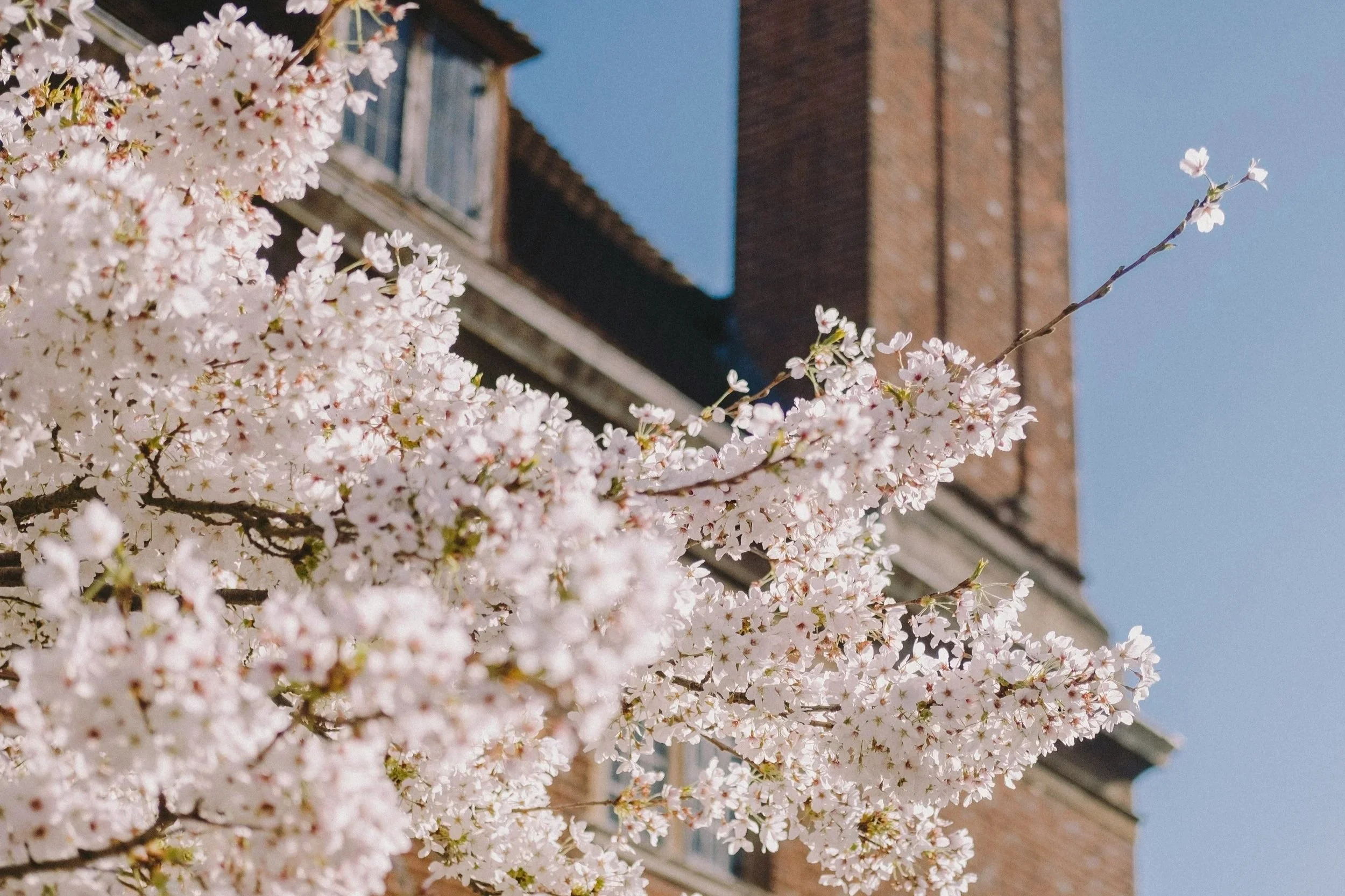 May Seasonal Living List
