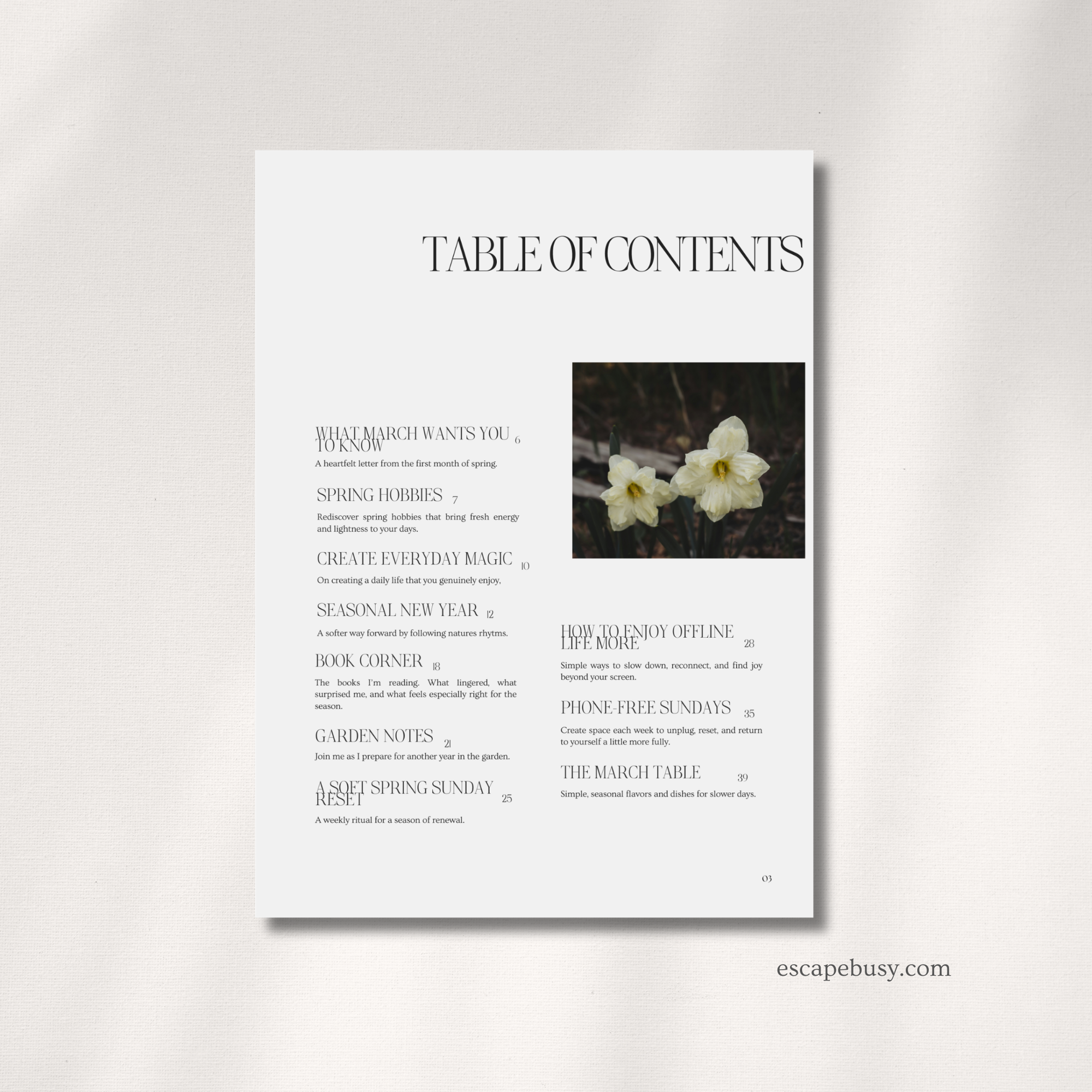 product photo (15).png