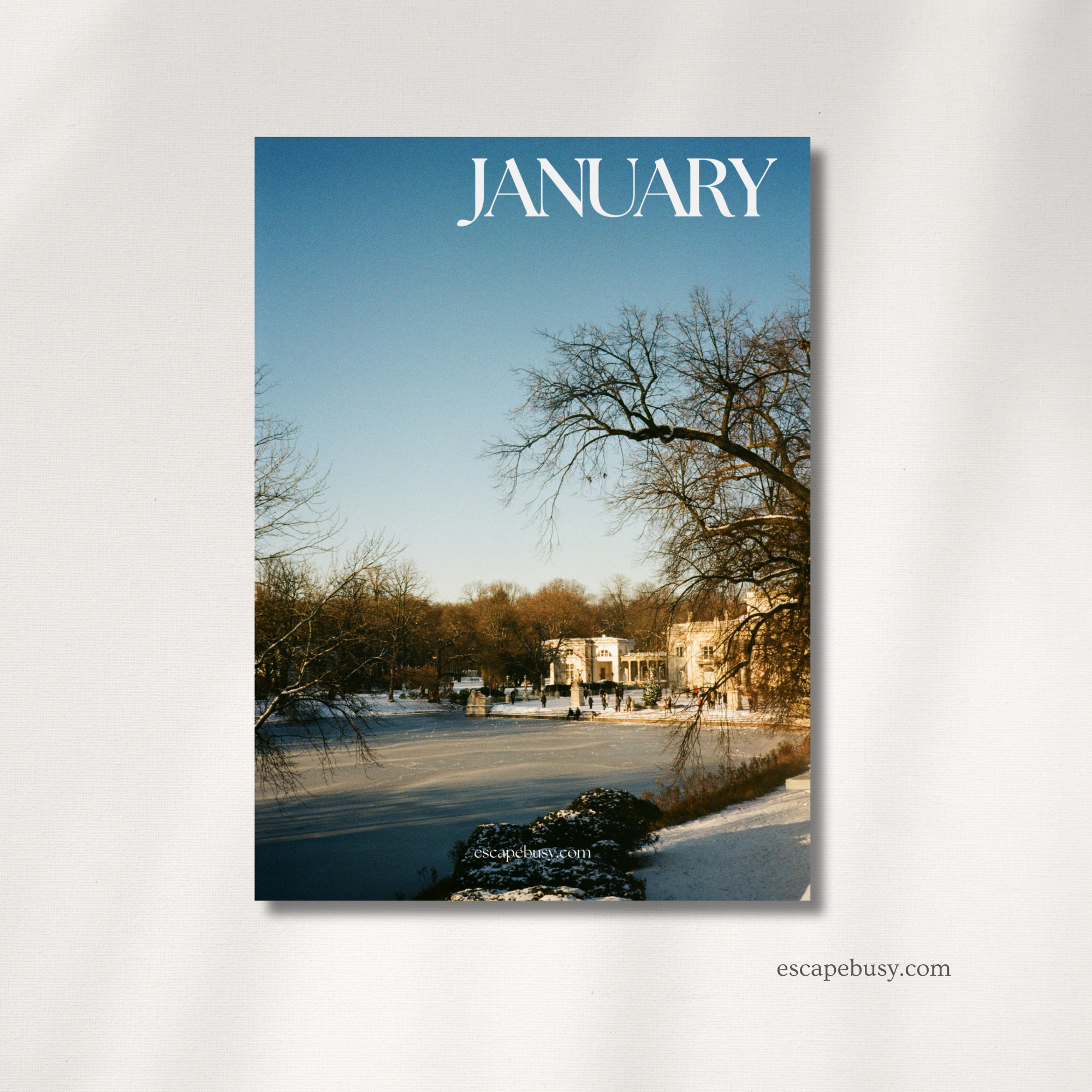 product photo (26).png