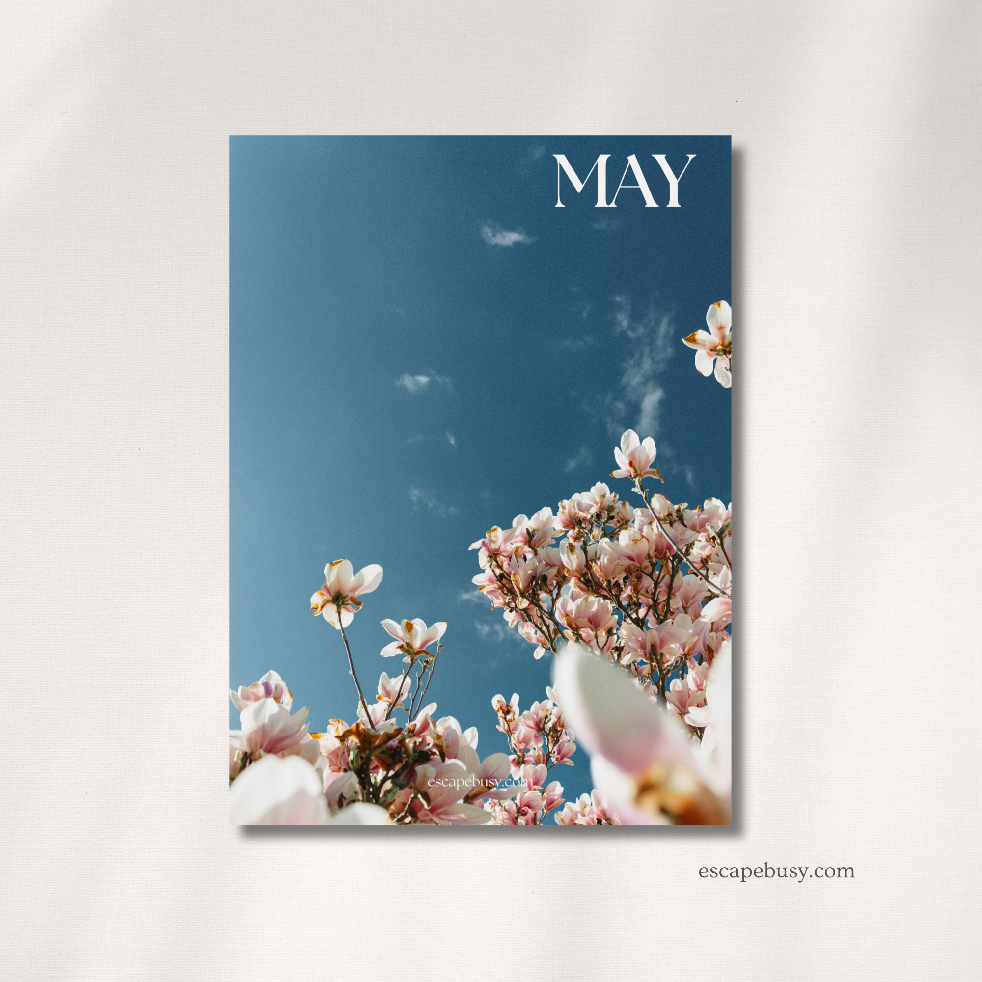 product photo (6).png