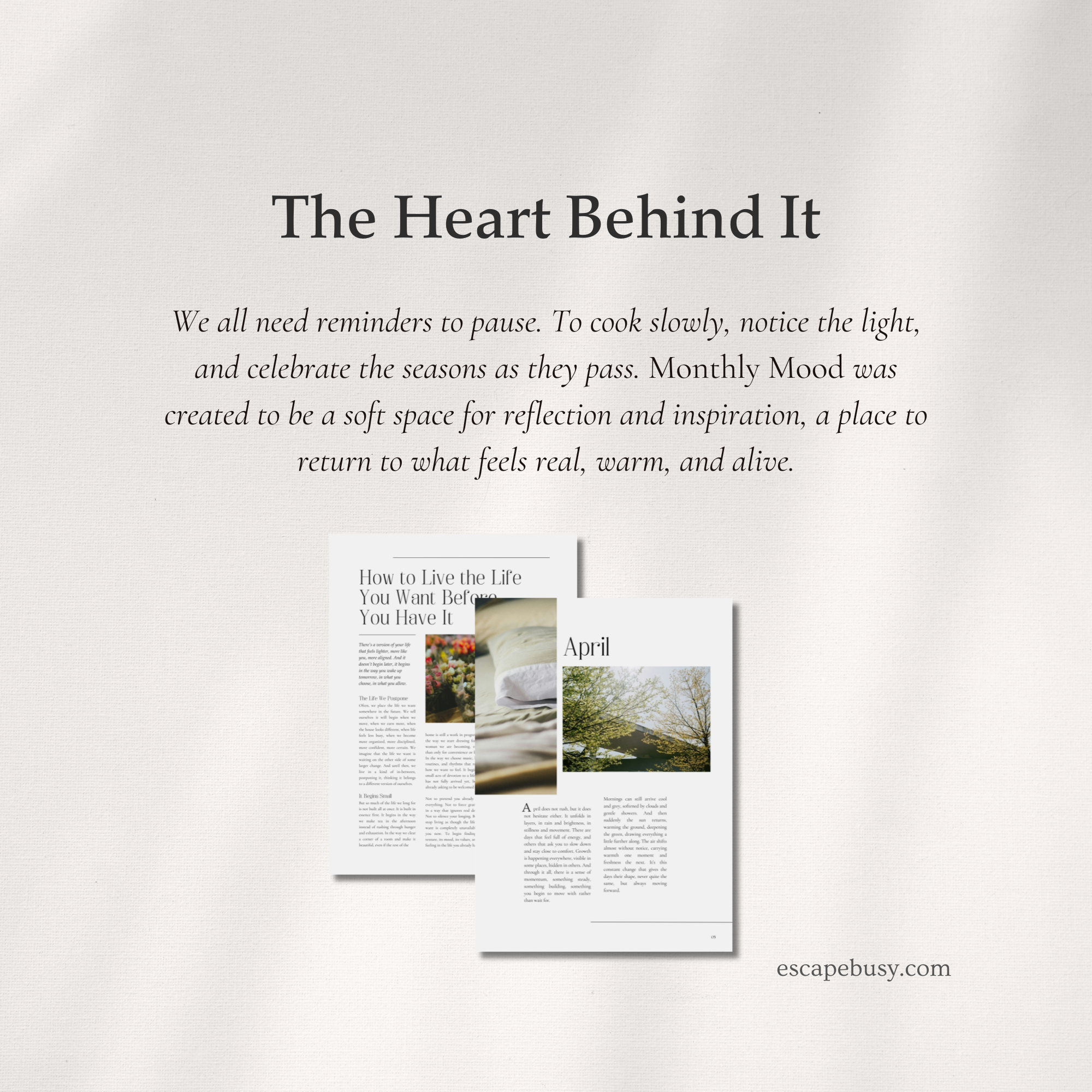 product photo (3).png