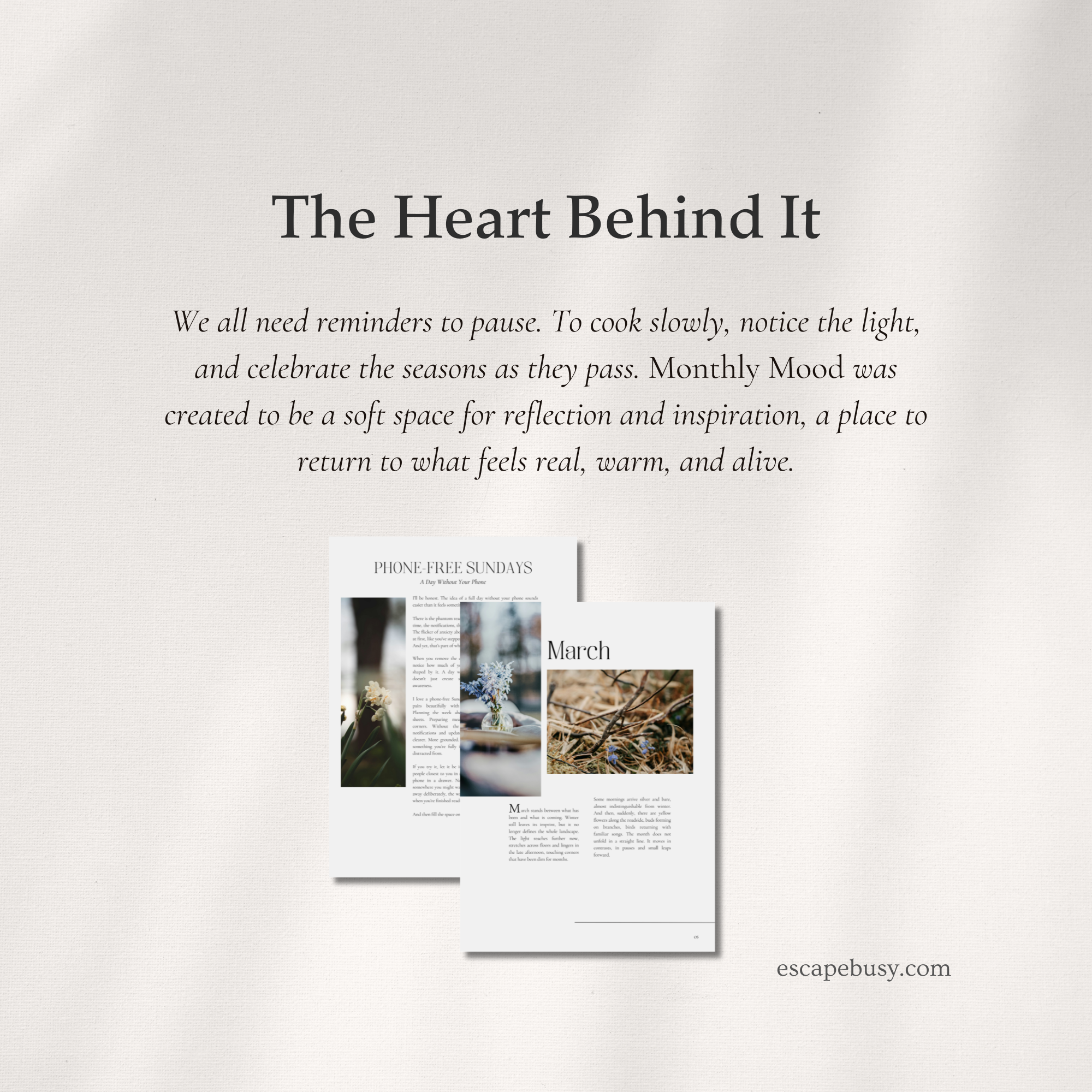 product photo (14).png