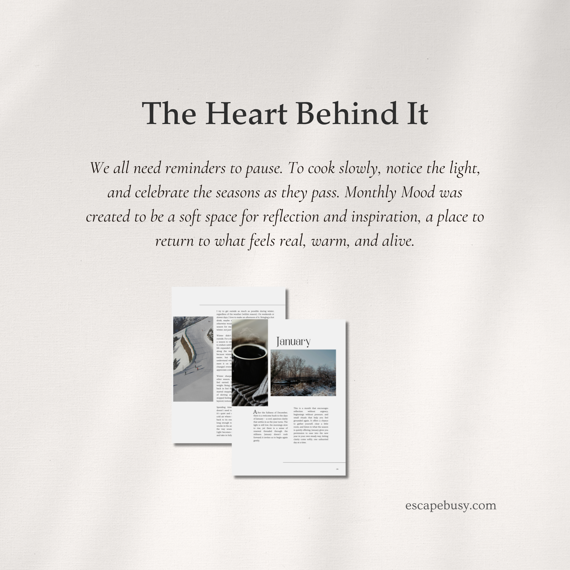 product photo (30).png