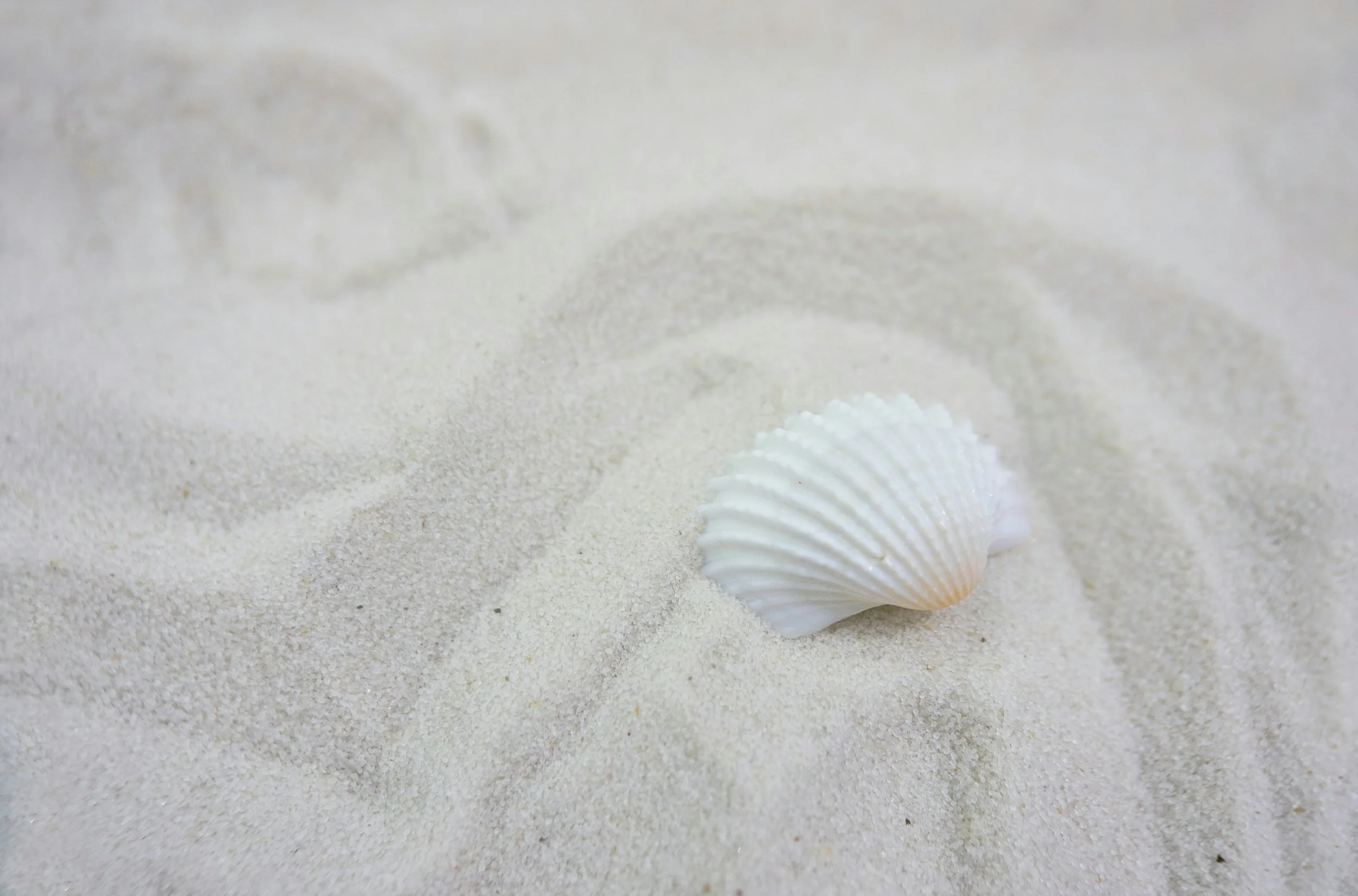 Three Things That Keep You Dysregulated