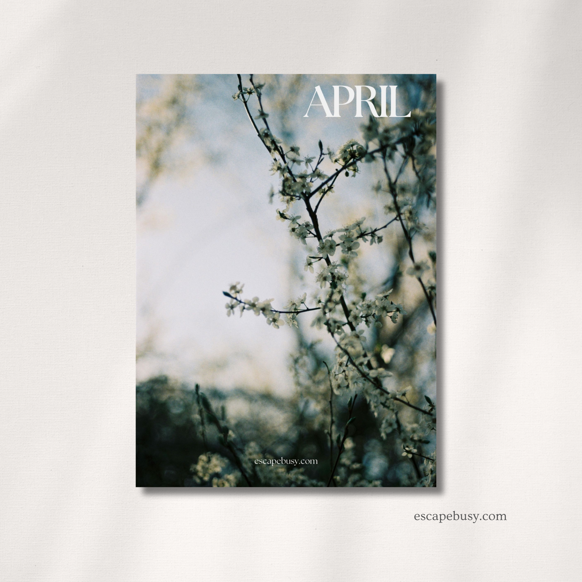 product photo (8).png