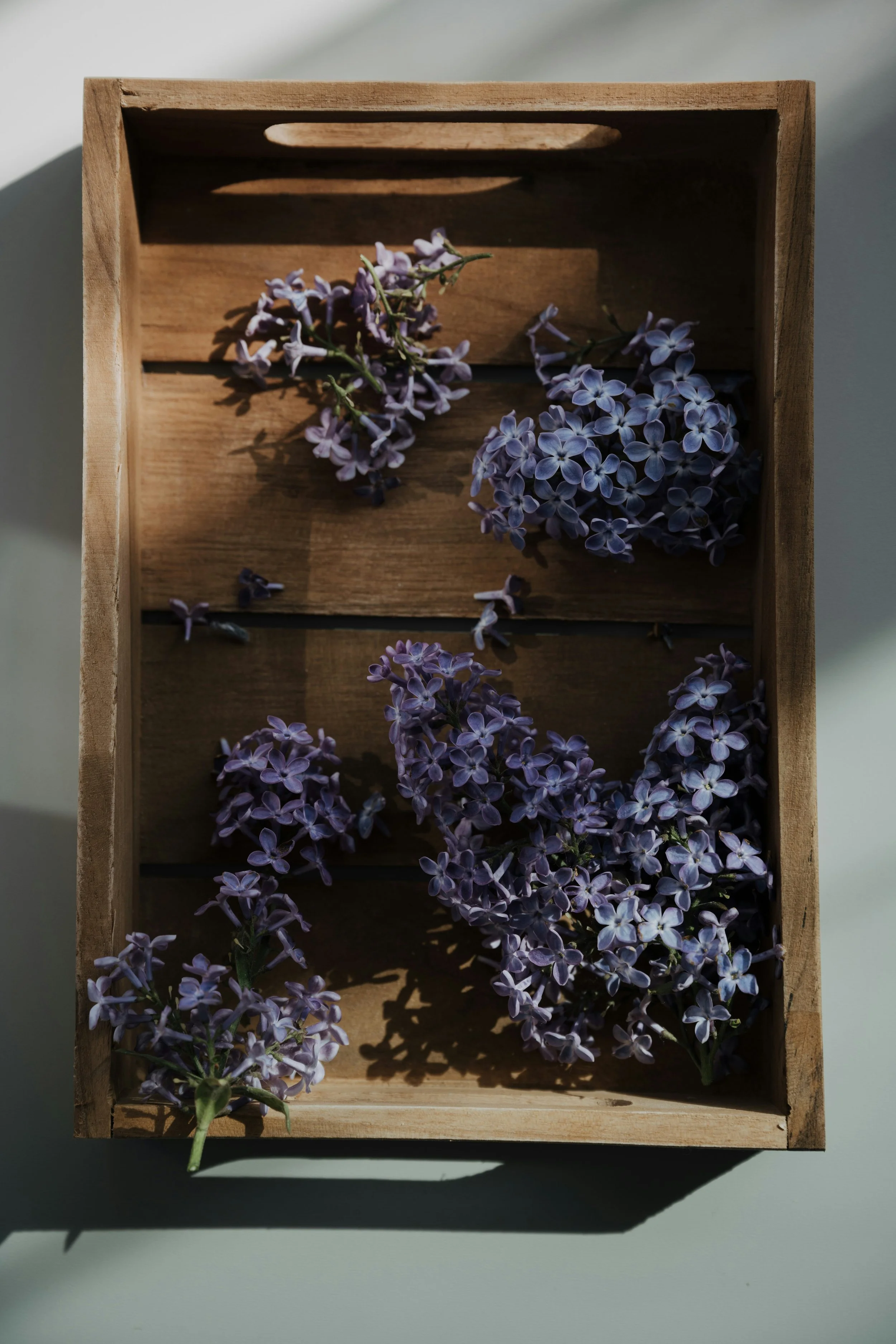 63 Spring Rituals for Slow and Seasonal Living — escape the busy.