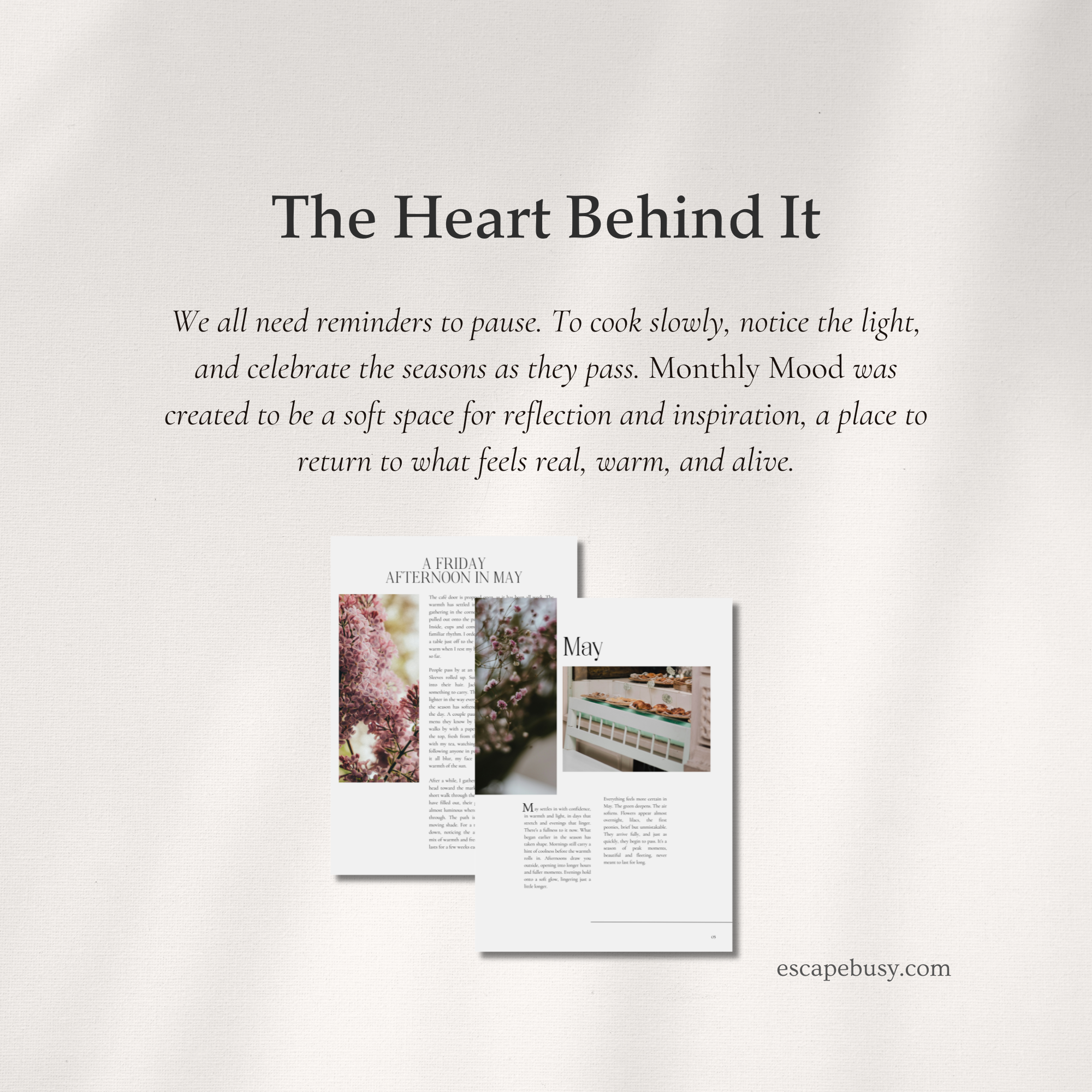 product photo (10).png