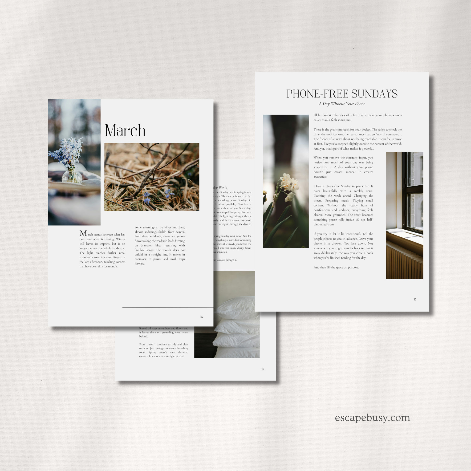 product photo (7).png