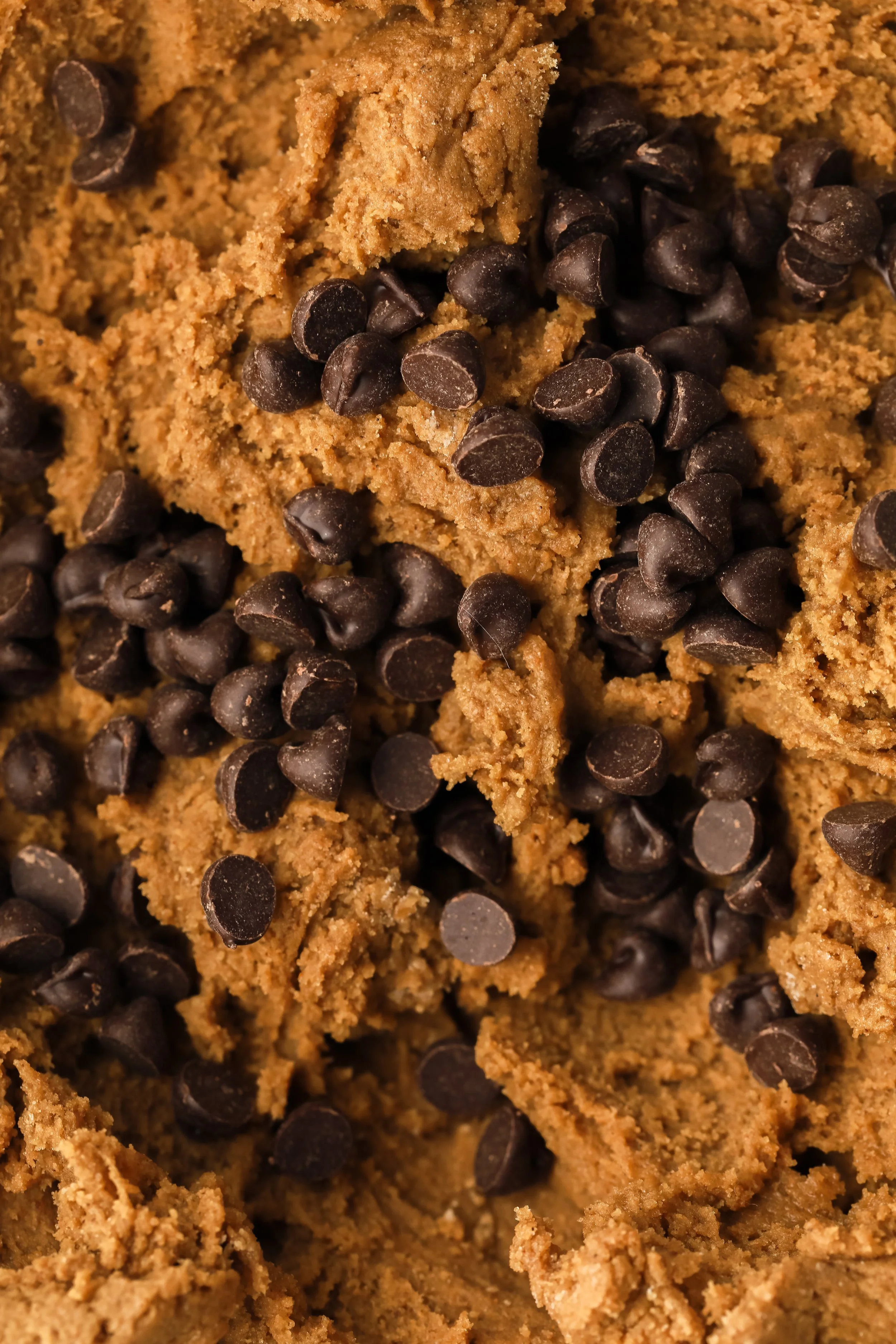 Gingerbread Smores-1505.jpg