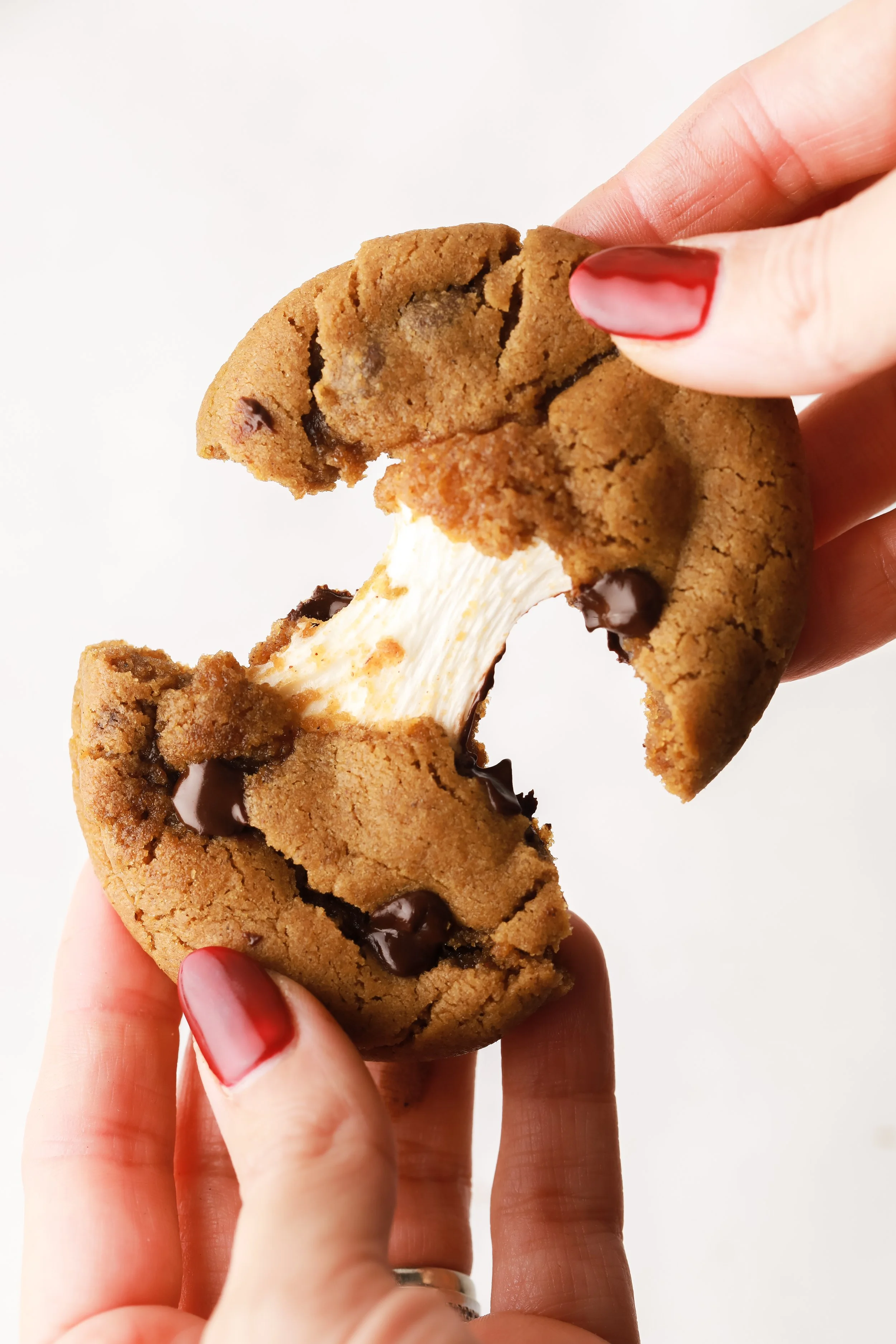 Gingerbread Smores-1641.jpg