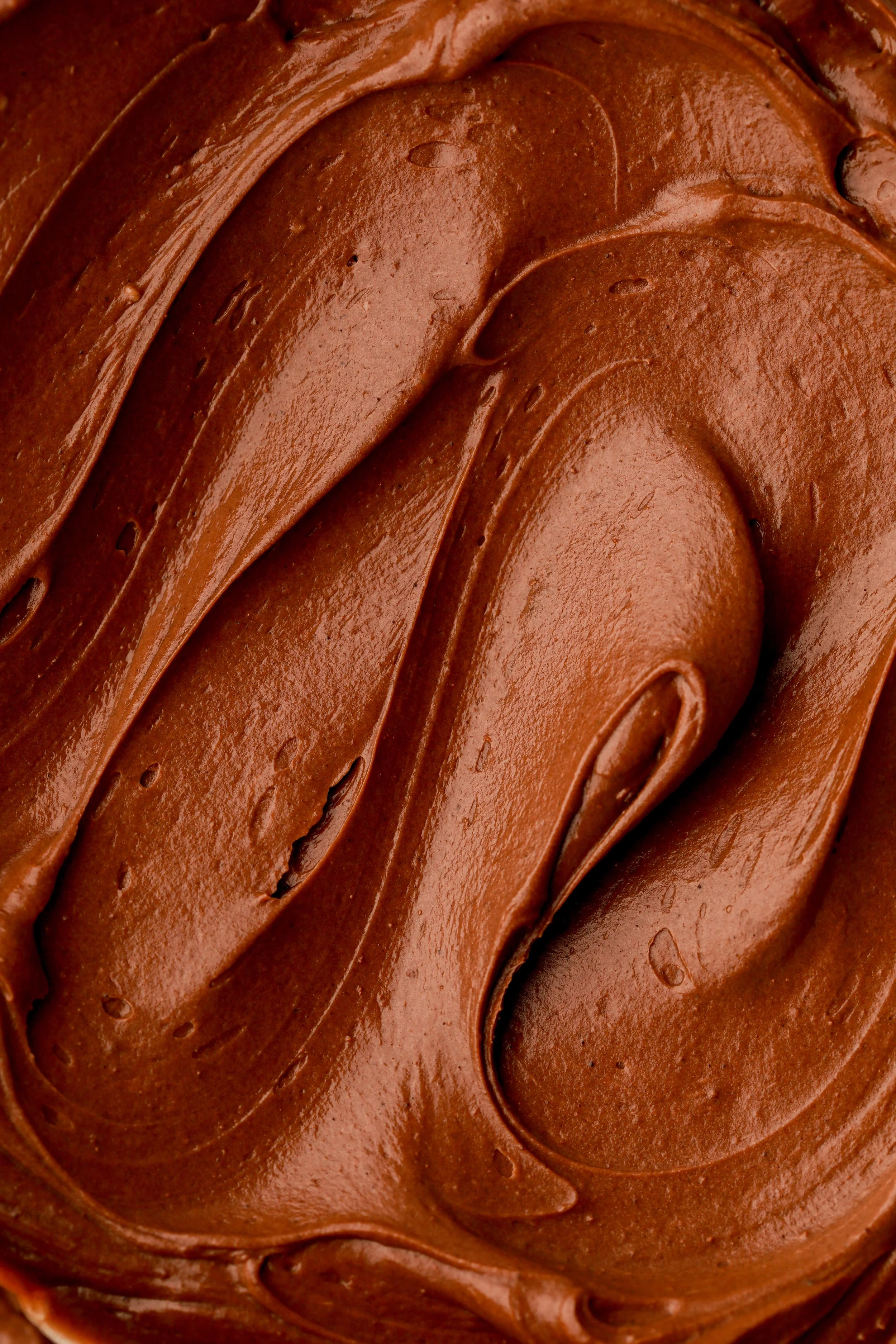 Chocolate Fudge Cake-5564.jpg