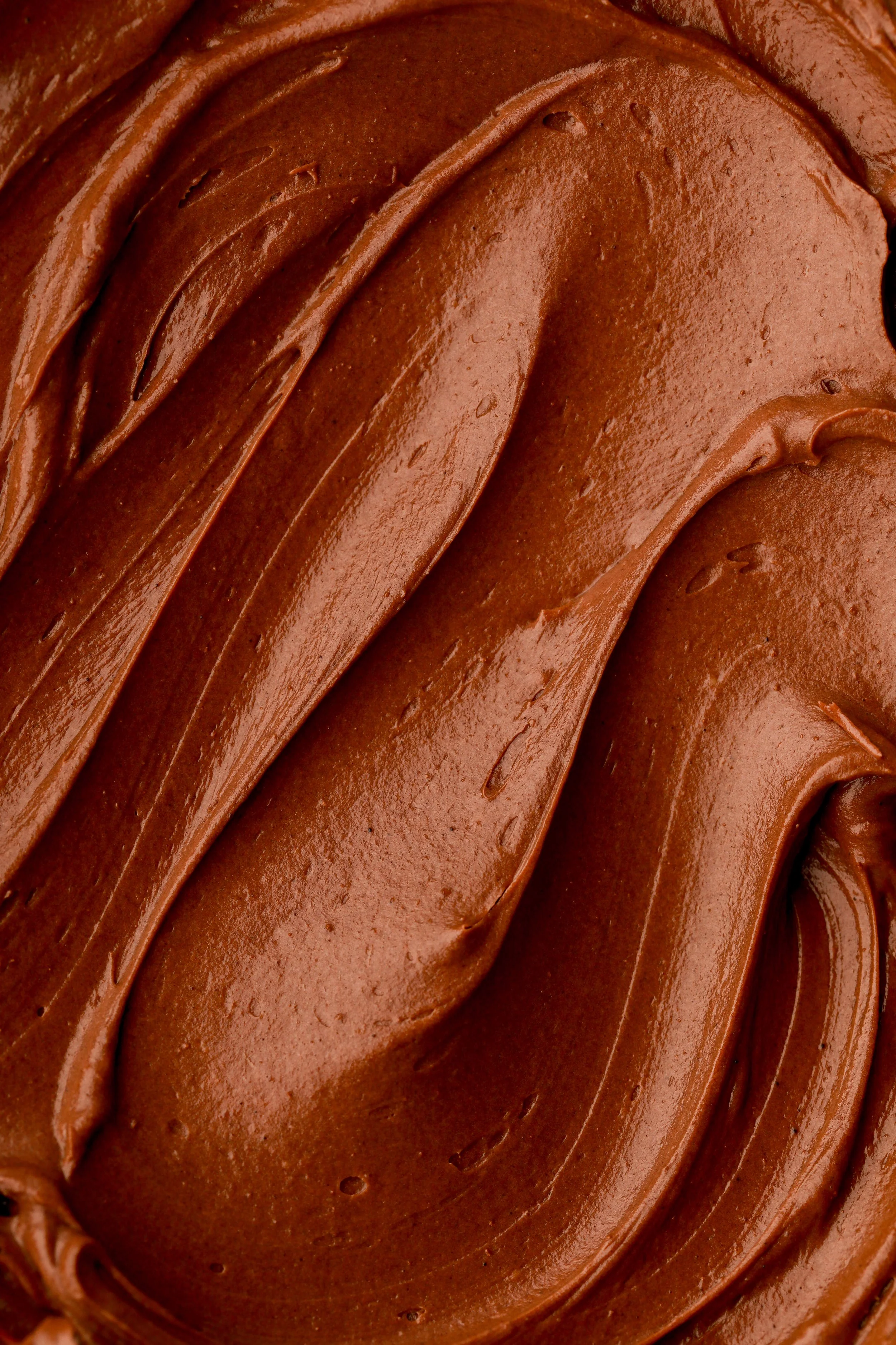 Chocolate Fudge Cake-5581.jpg