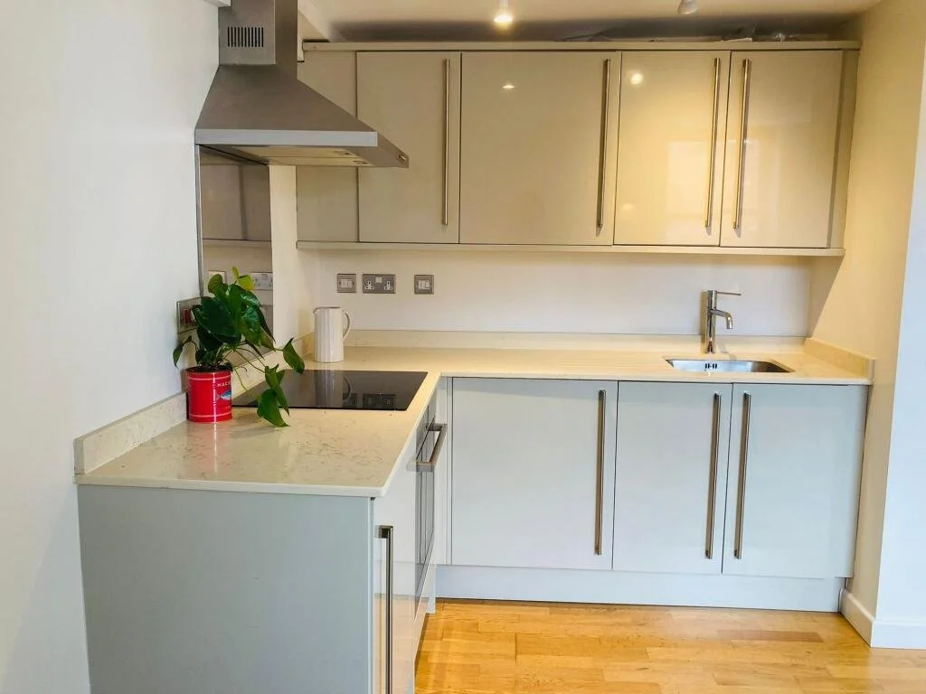 Small, modern kitchen with white cabinets, a stainless steel range hood, a black cooktop, a small sink, wooden flooring, a green plant in a red pot, and a white tissue box on the counter.