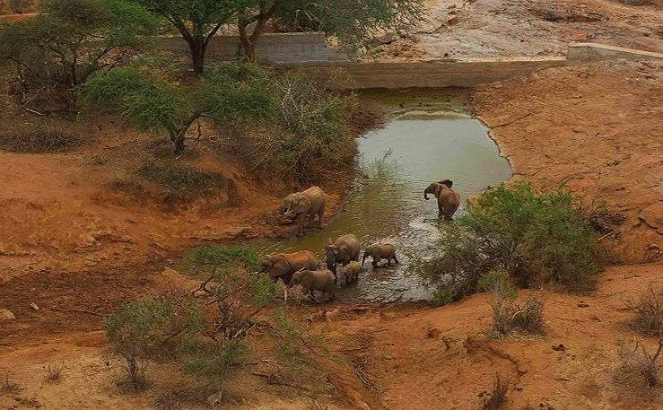 Water in Tsavo