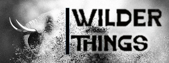 Wilder Things