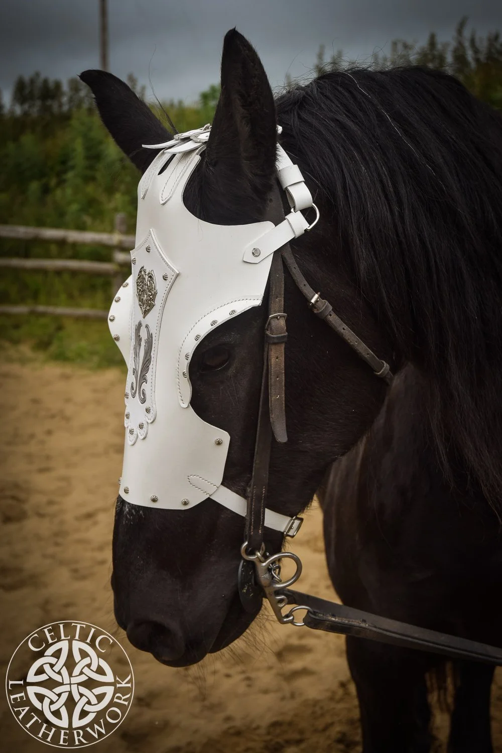 CUSTOM WHITE CHAMFRON
