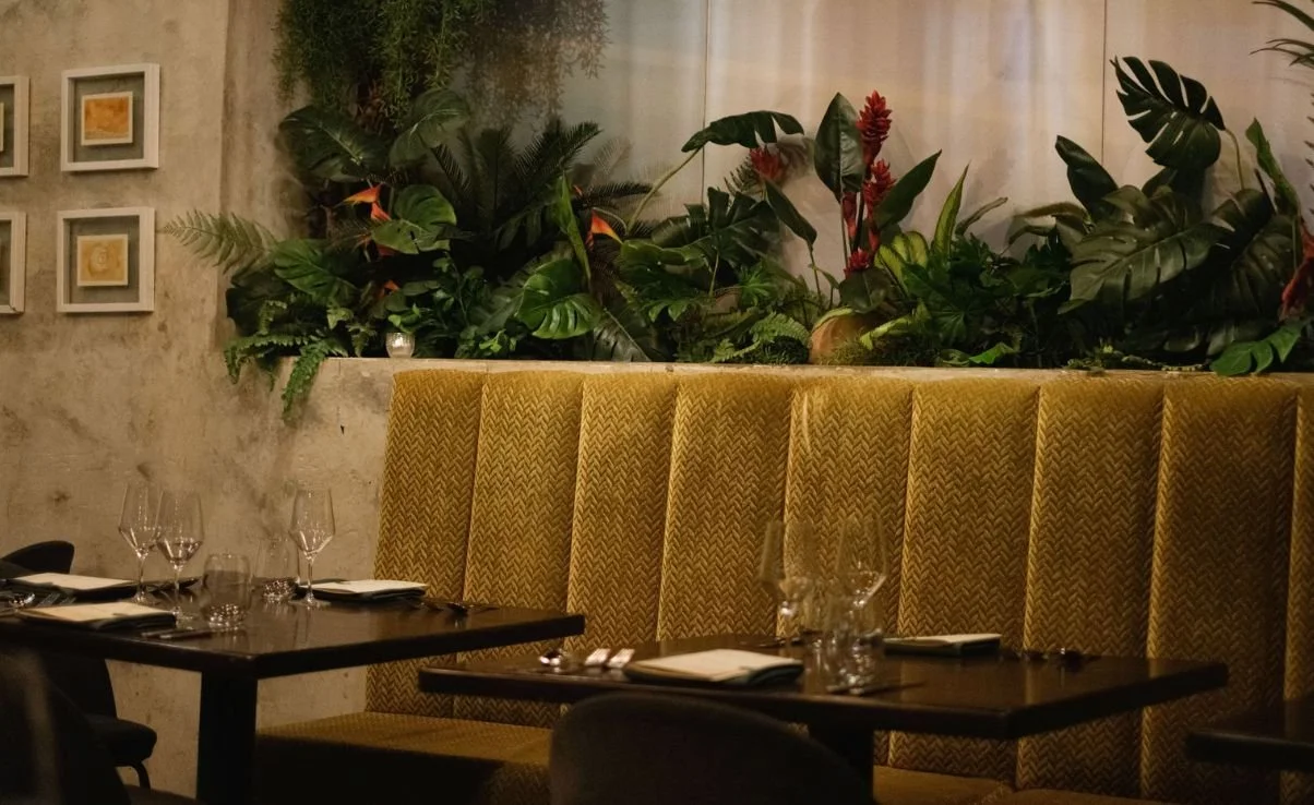 WhatsApp Image 2025-08-12 at 16.15.18.jpeg