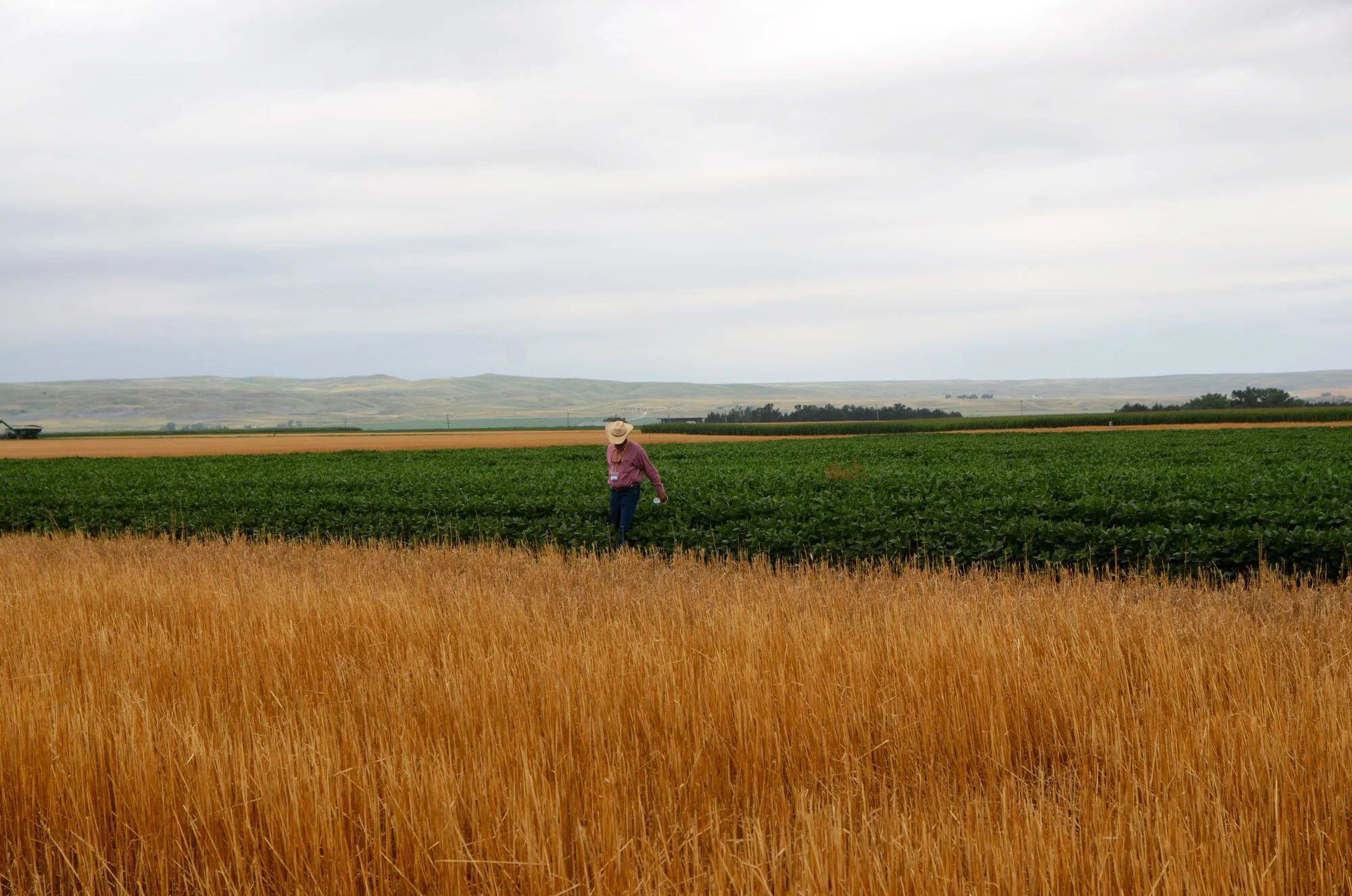 Copy of DSC_8589.1.jpg