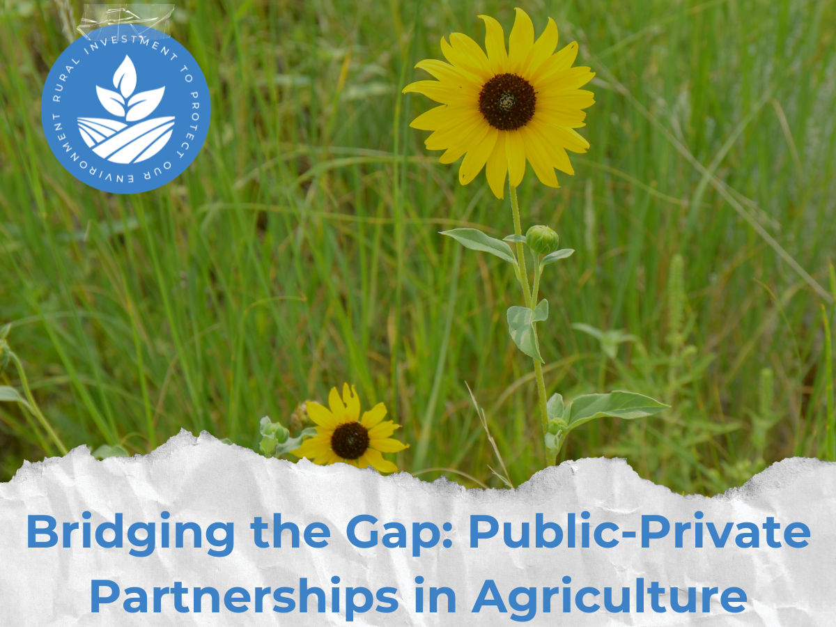Bridging the Gap: Public-Private Partnerships in Agriculture