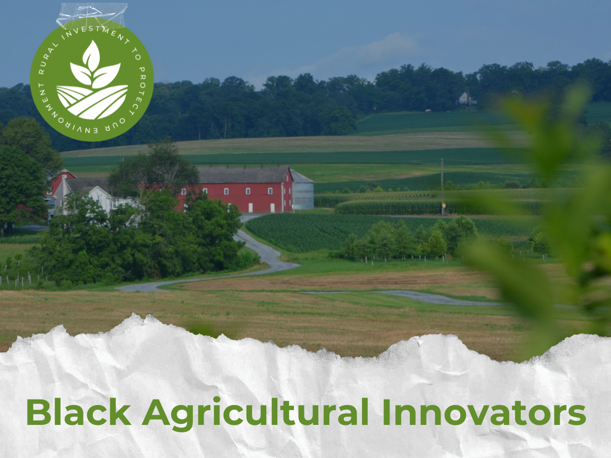 Black Agricultural Innovators